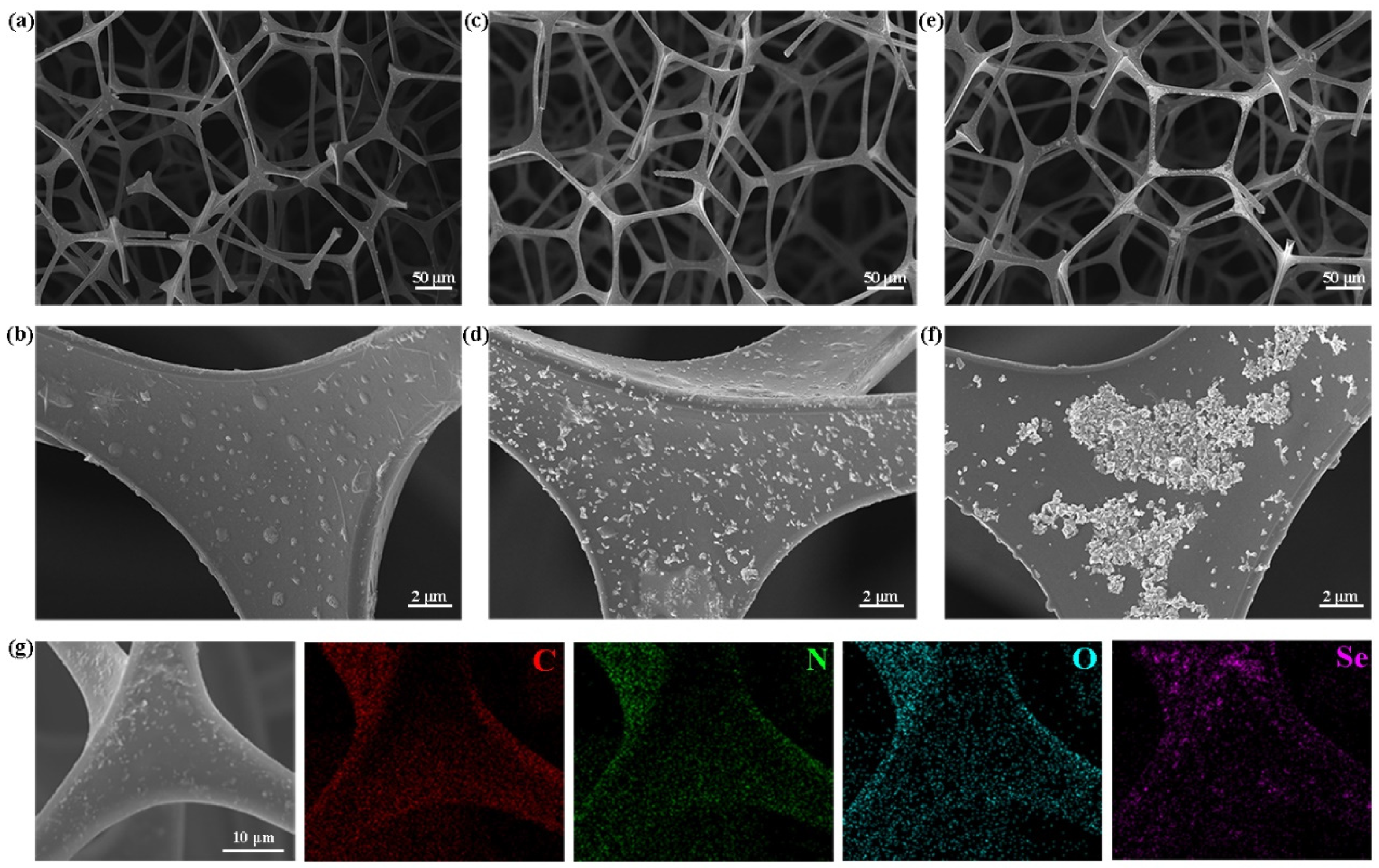 Nanomaterials 12 03756 g003