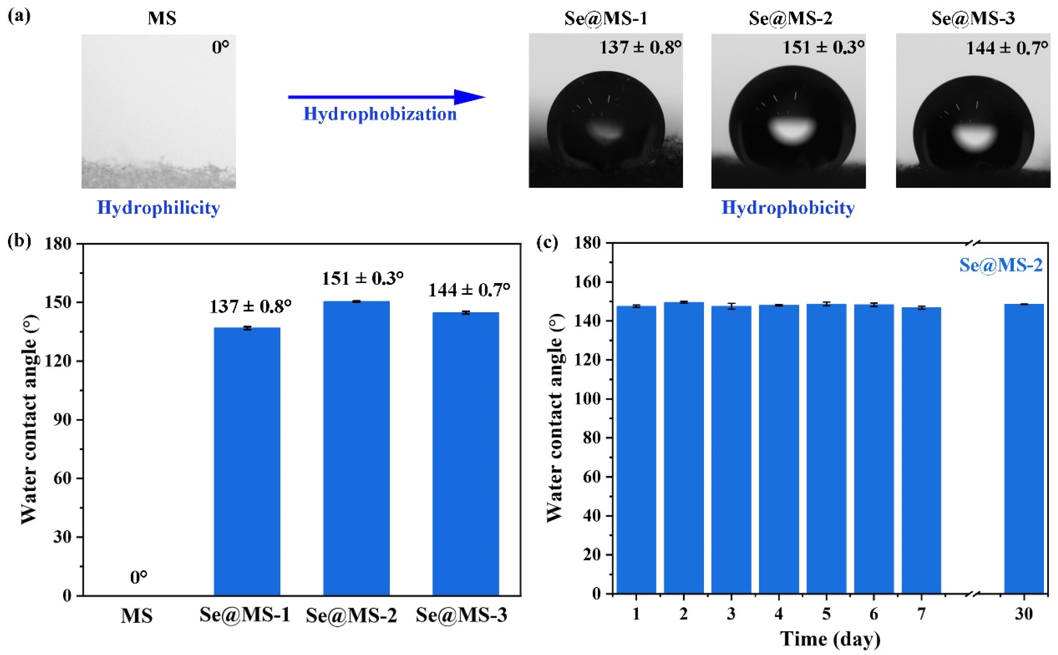 Nanomaterials 12 03756 g004