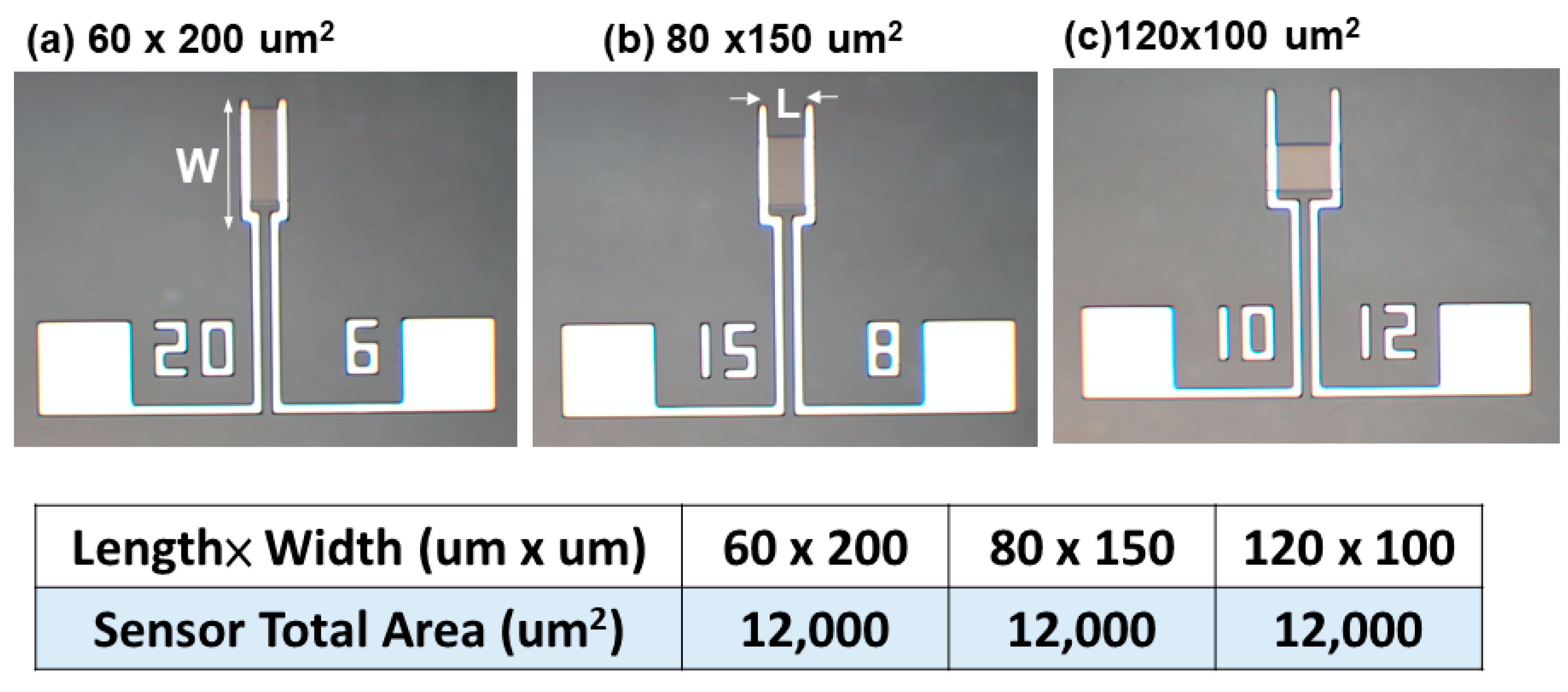 Nanomaterials 12 03759 g004