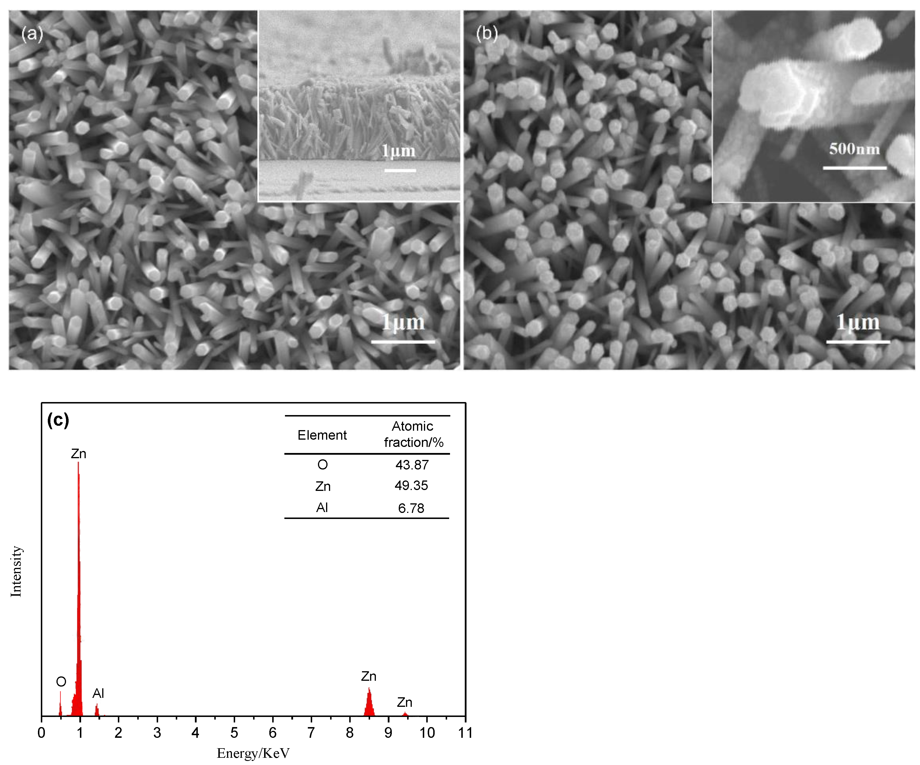 Nanomaterials 12 03768 g001