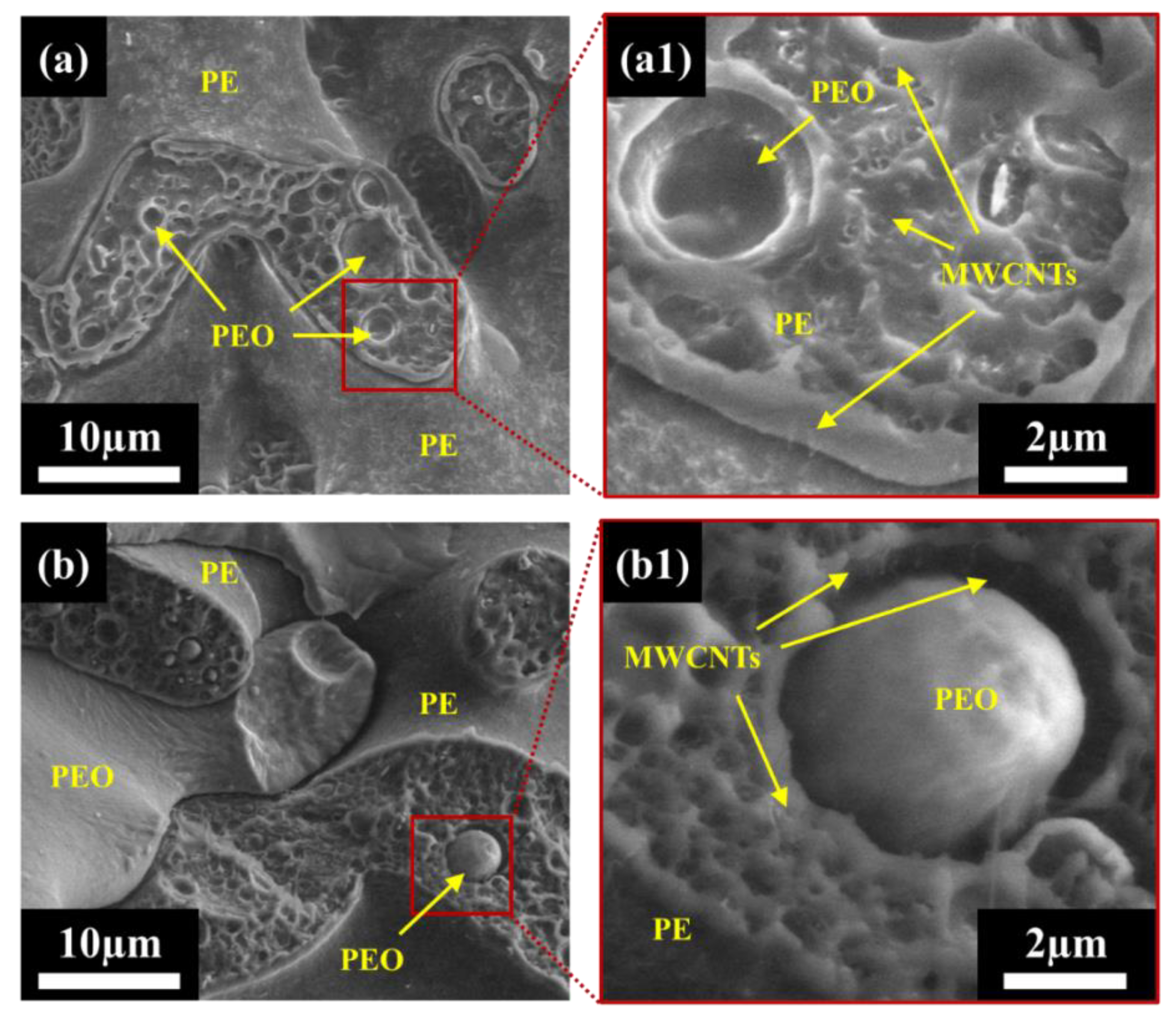 Nanomaterials 12 03772 g002