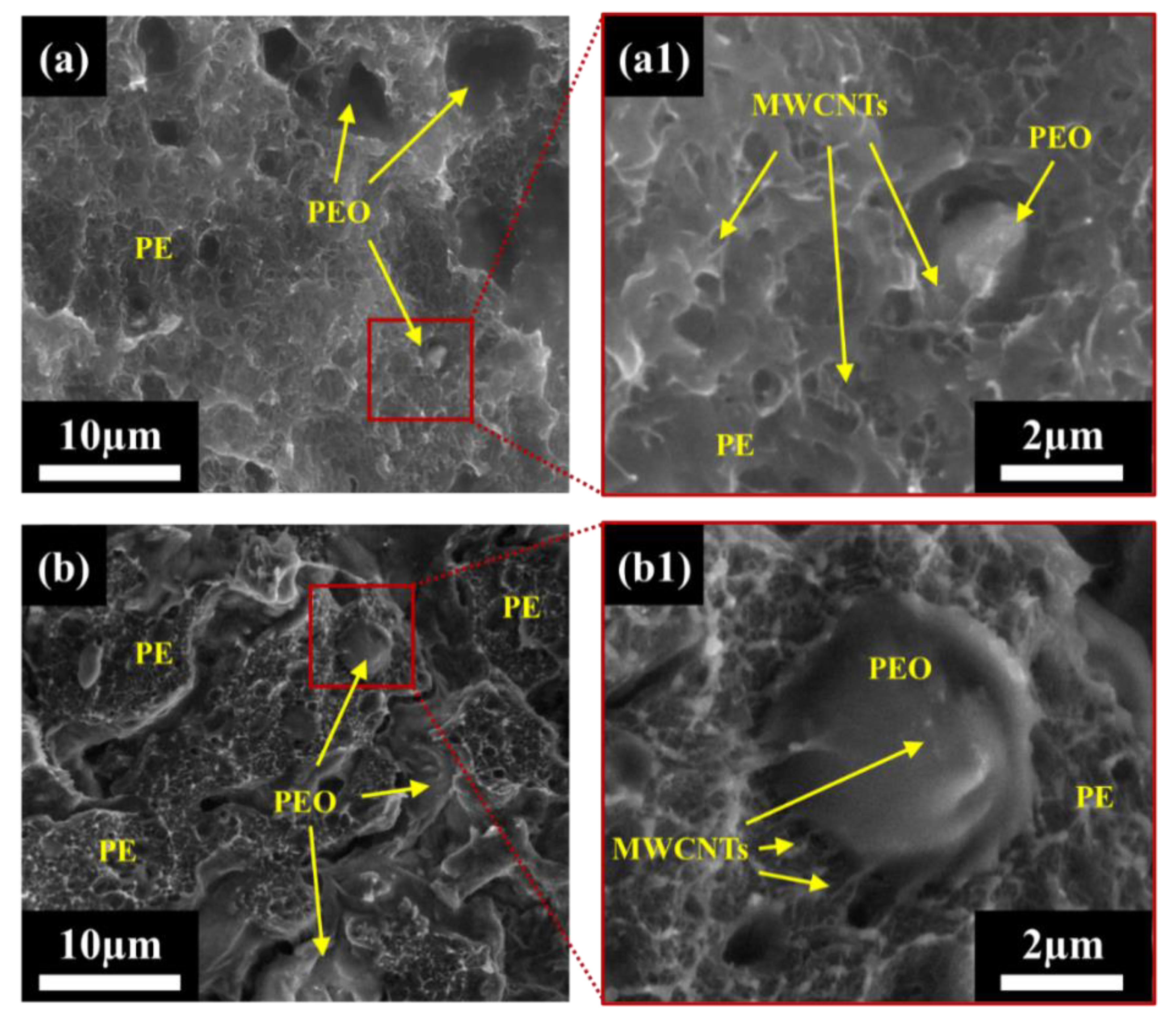 Nanomaterials 12 03772 g003