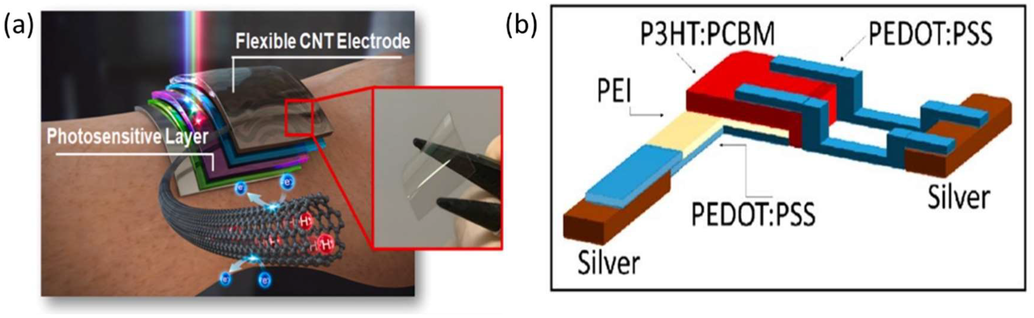 Nanomaterials 12 03775 g002
