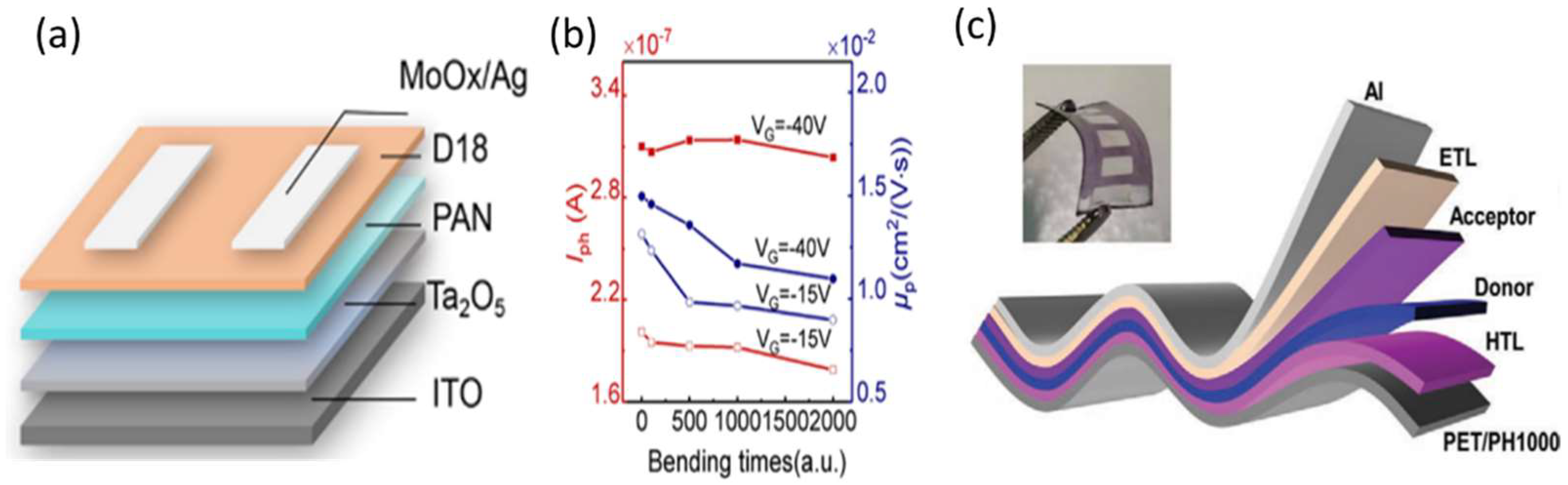Nanomaterials 12 03775 g003