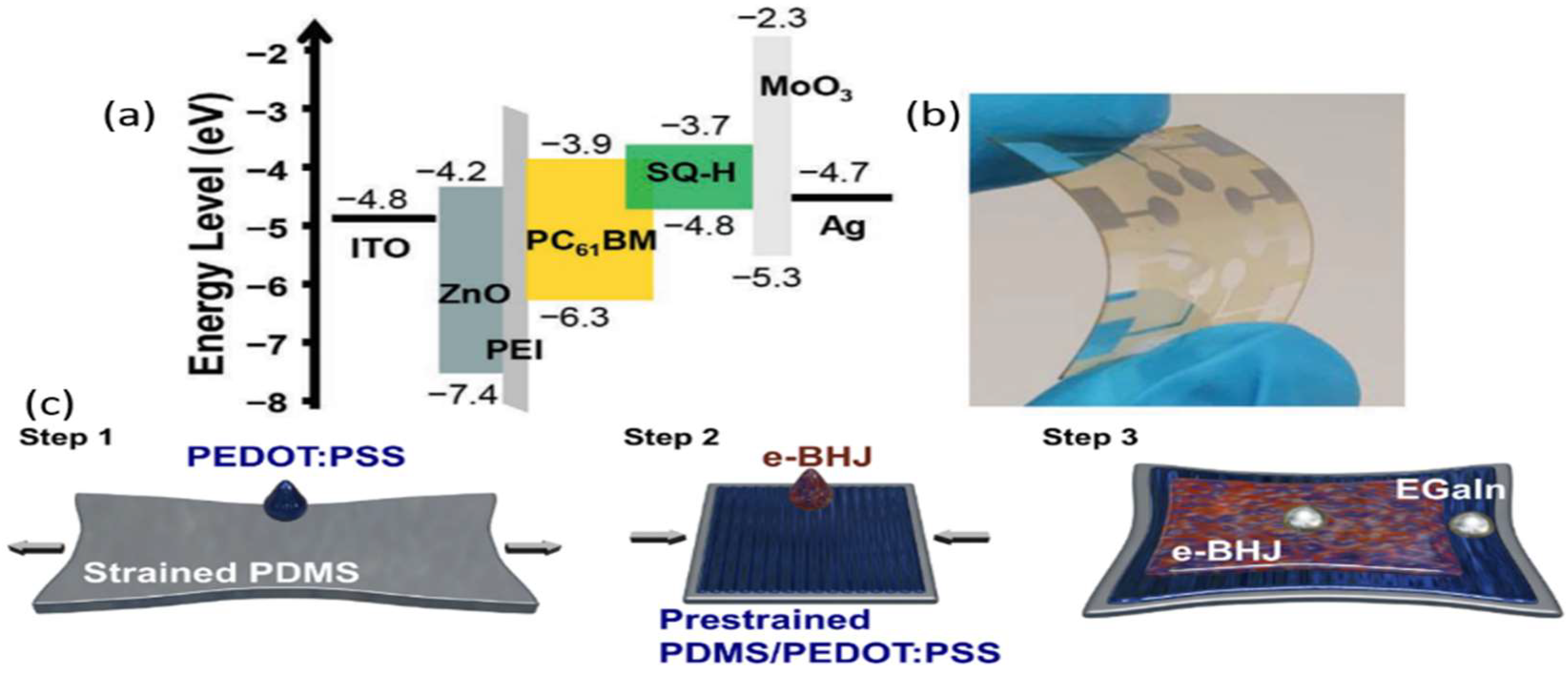 Nanomaterials 12 03775 g005