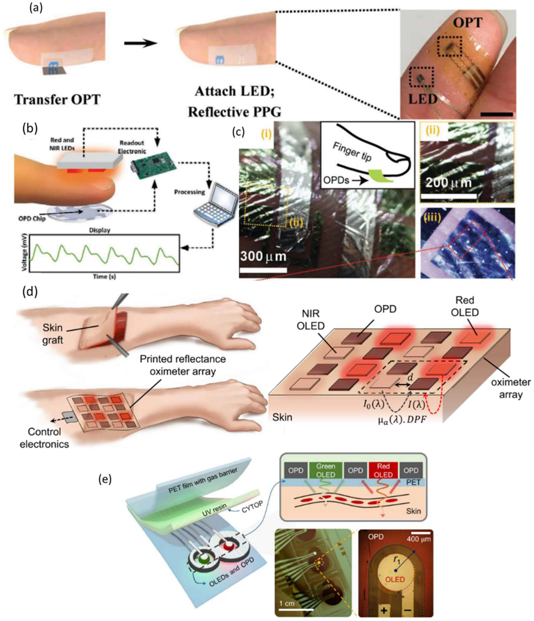 Nanomaterials 12 03775 g011