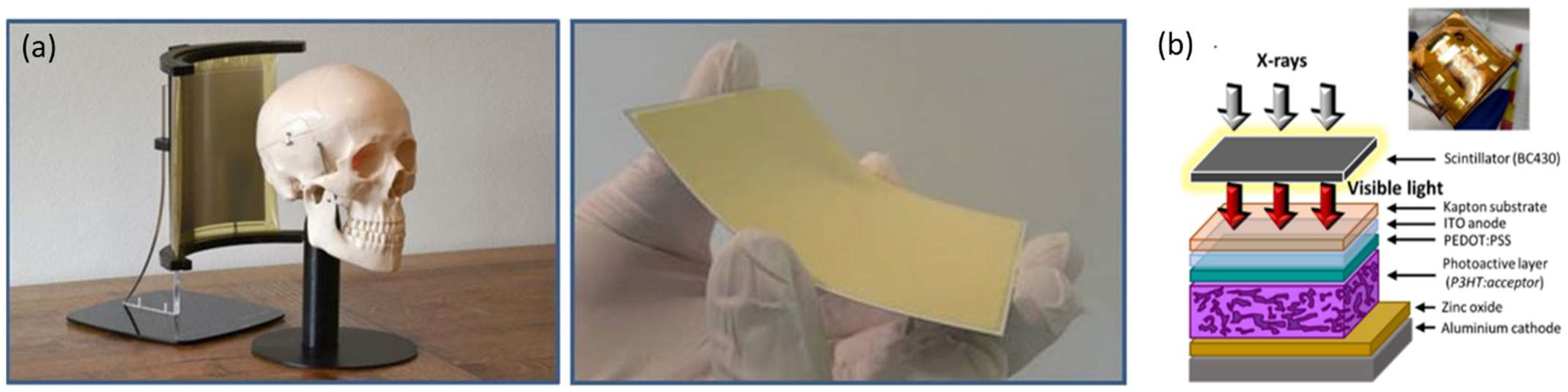 Nanomaterials 12 03775 g013