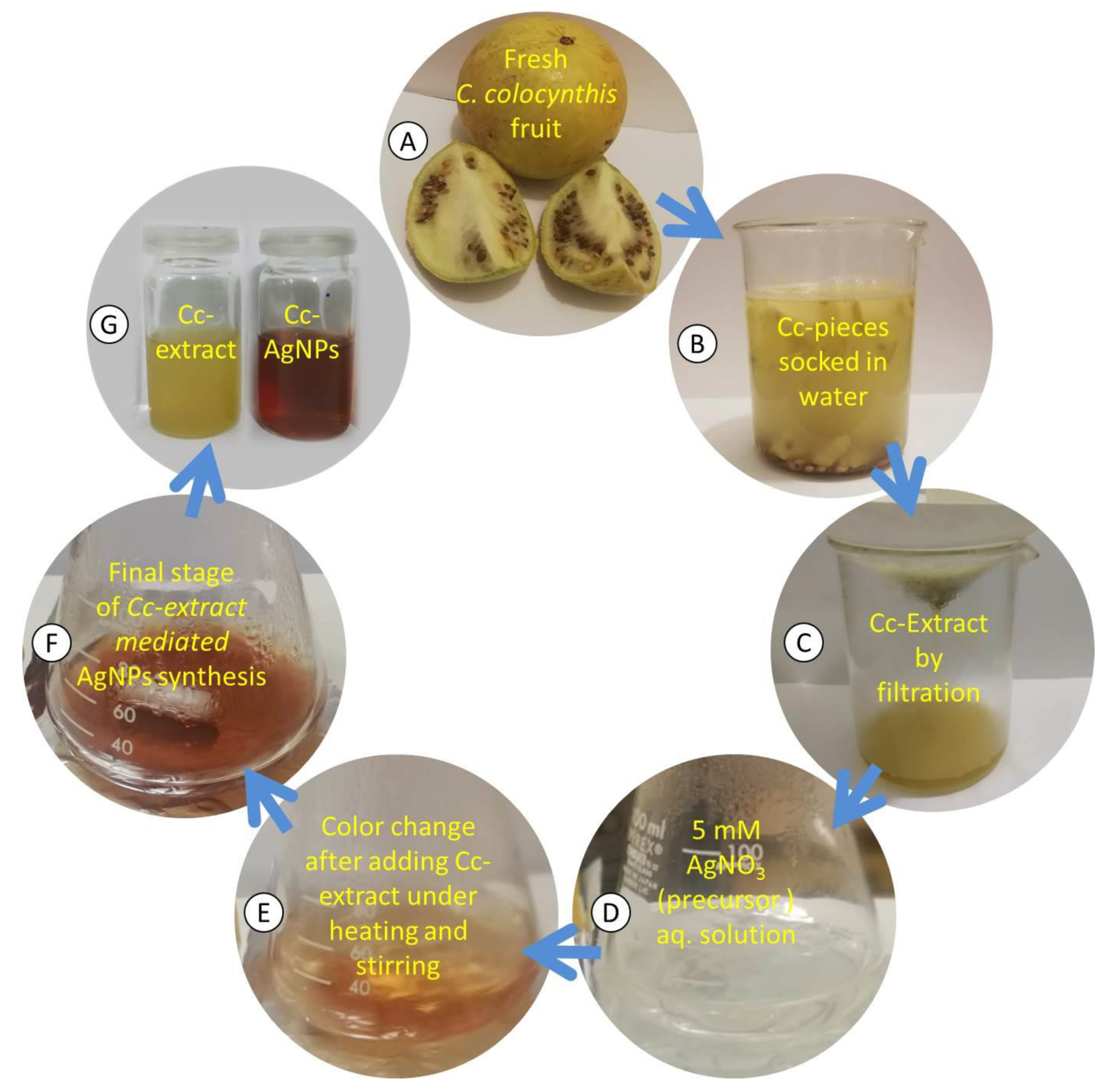 Nanomaterials 12 03781 g001