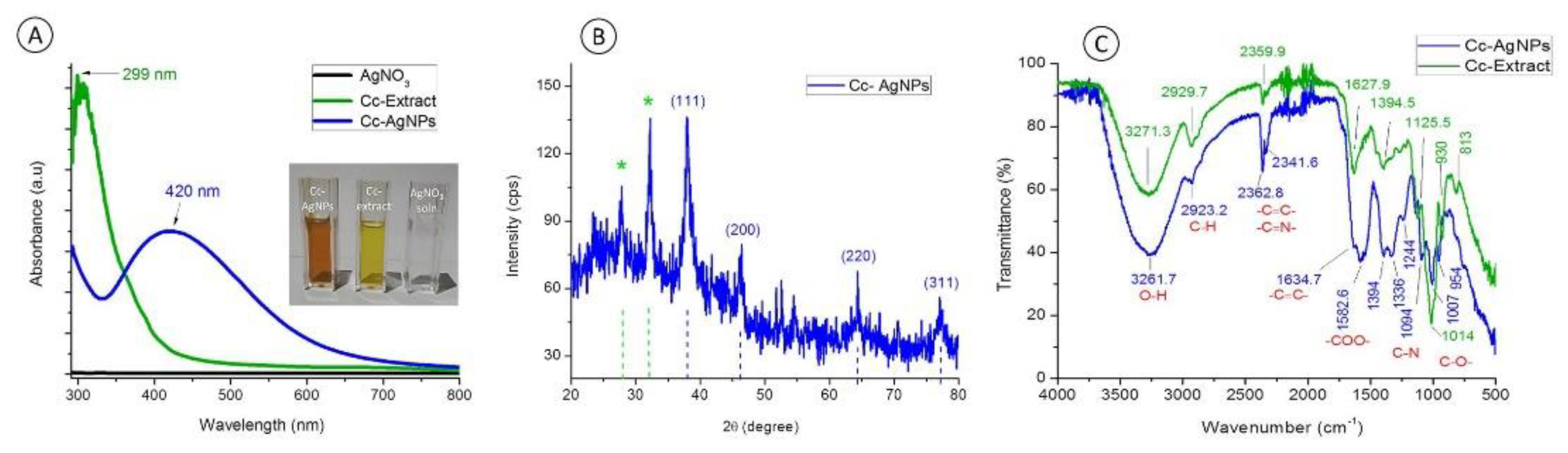 Nanomaterials 12 03781 g002