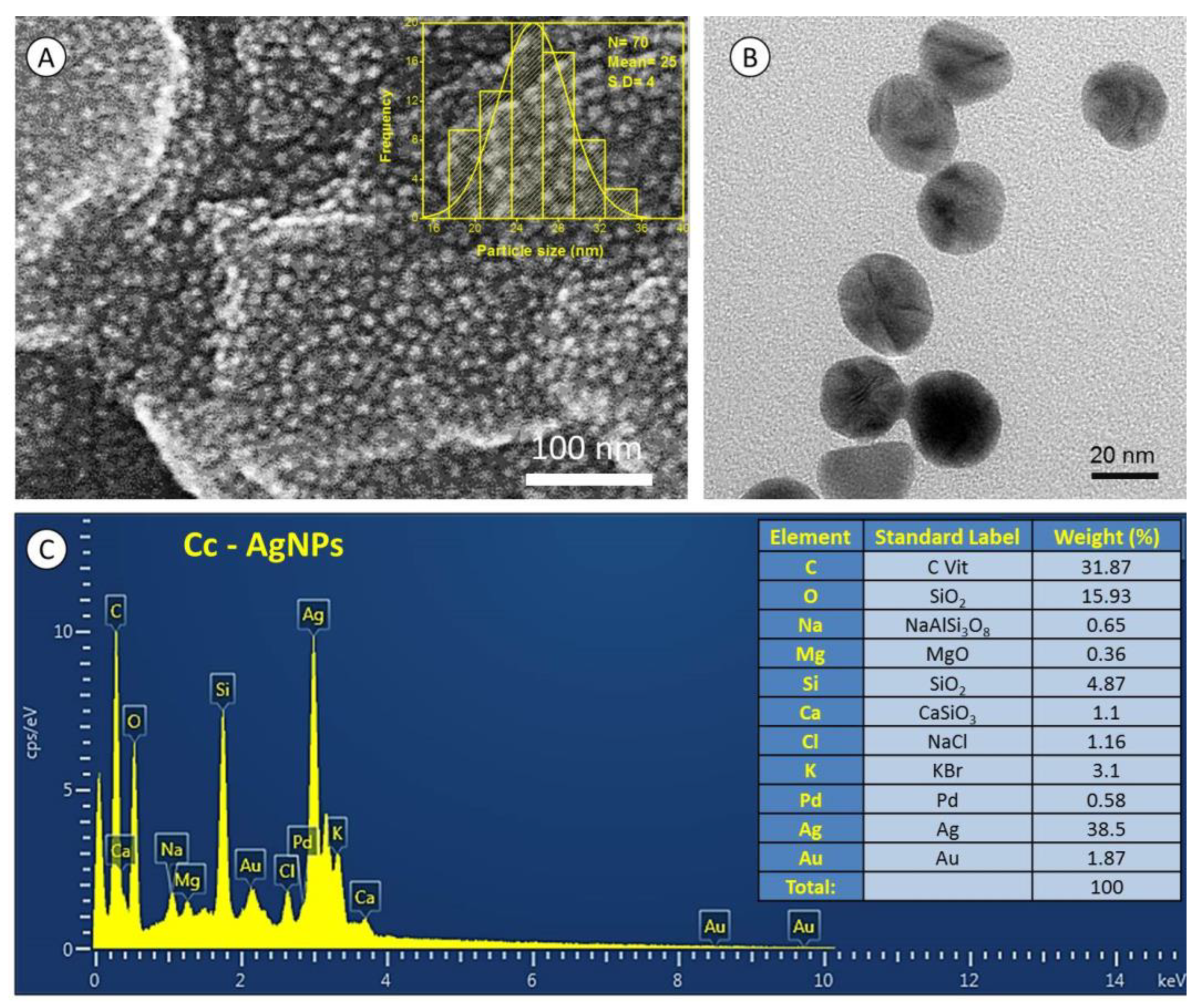 Nanomaterials 12 03781 g003