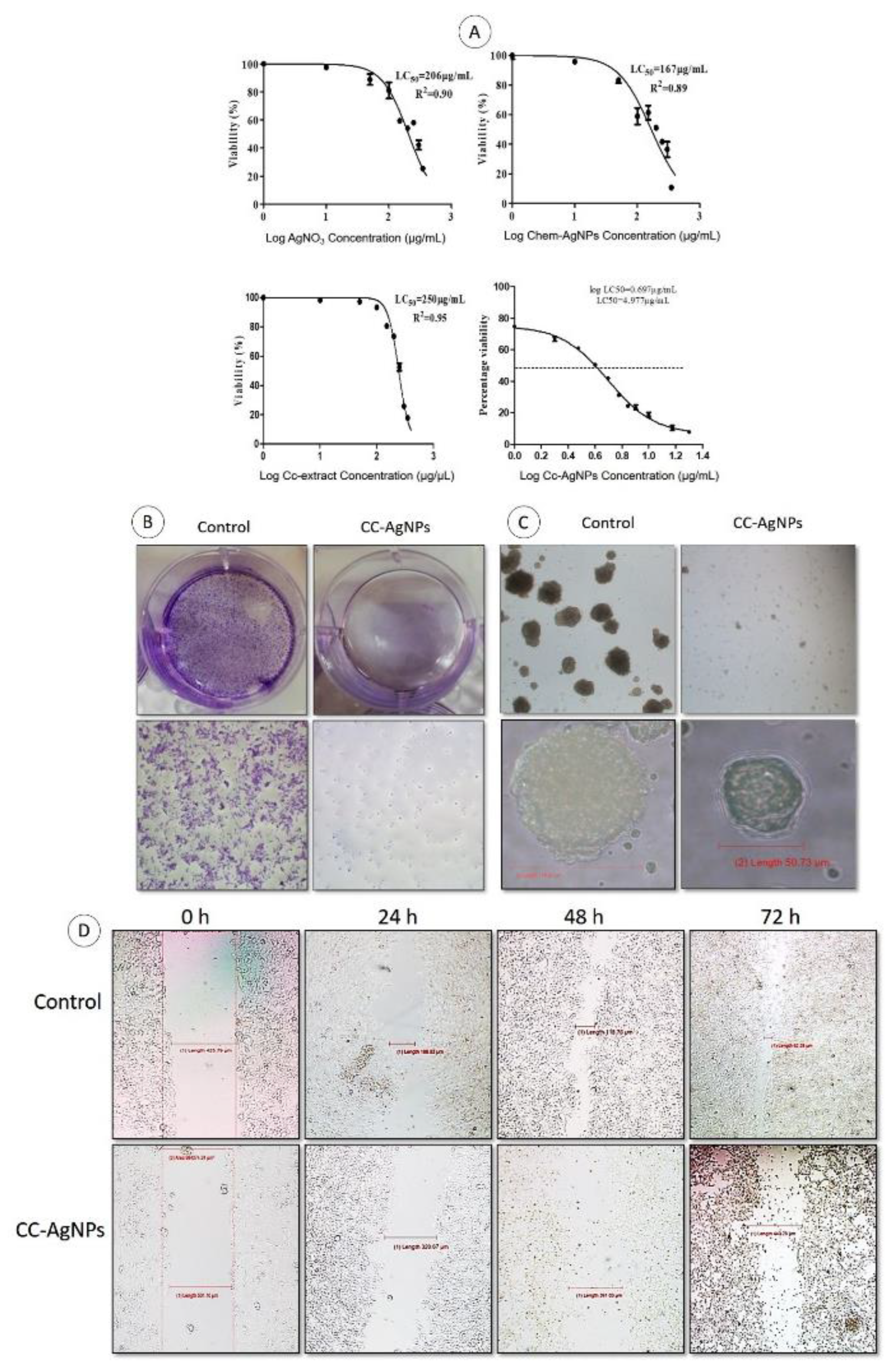 Nanomaterials 12 03781 g005