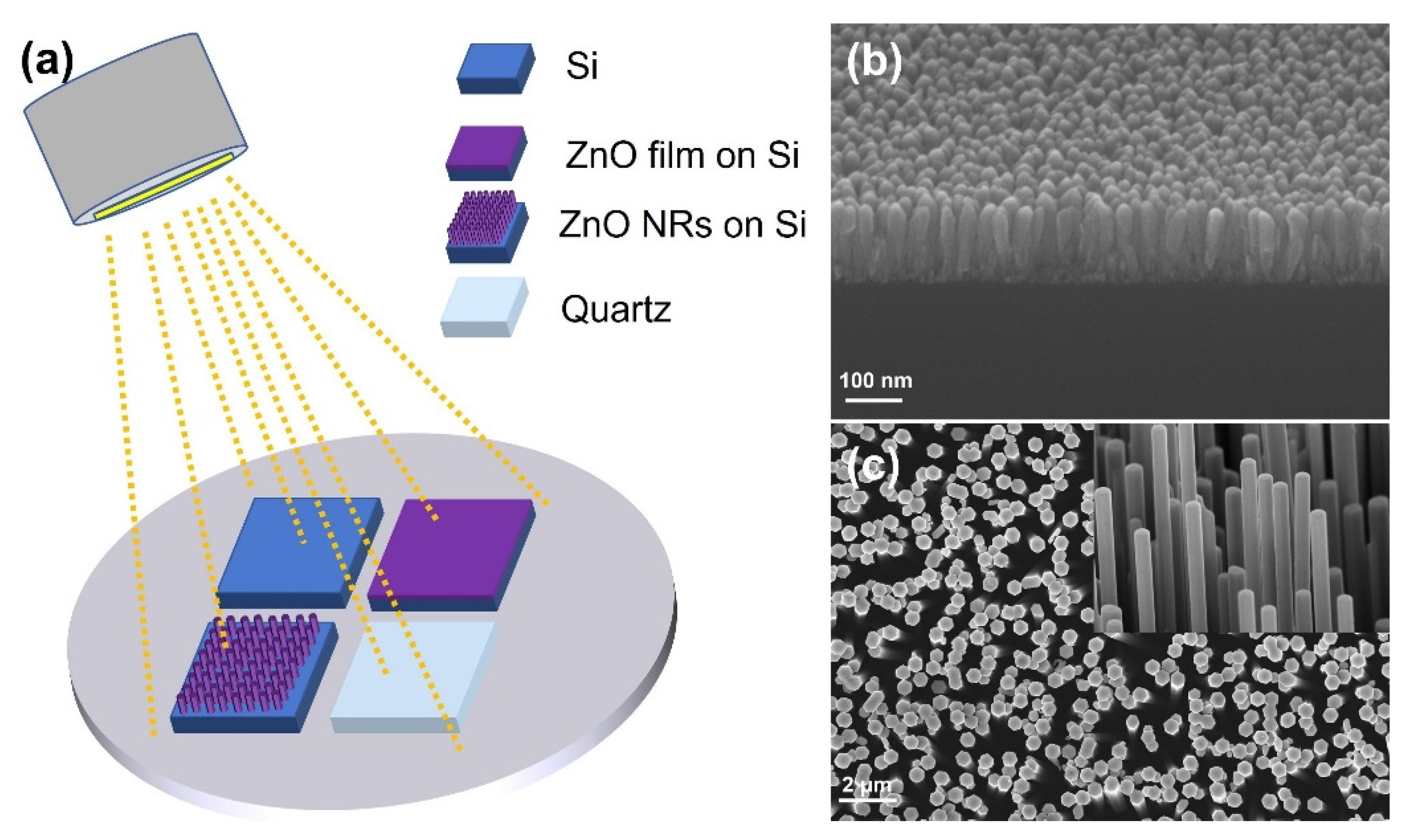 Nanomaterials 12 03785 g001