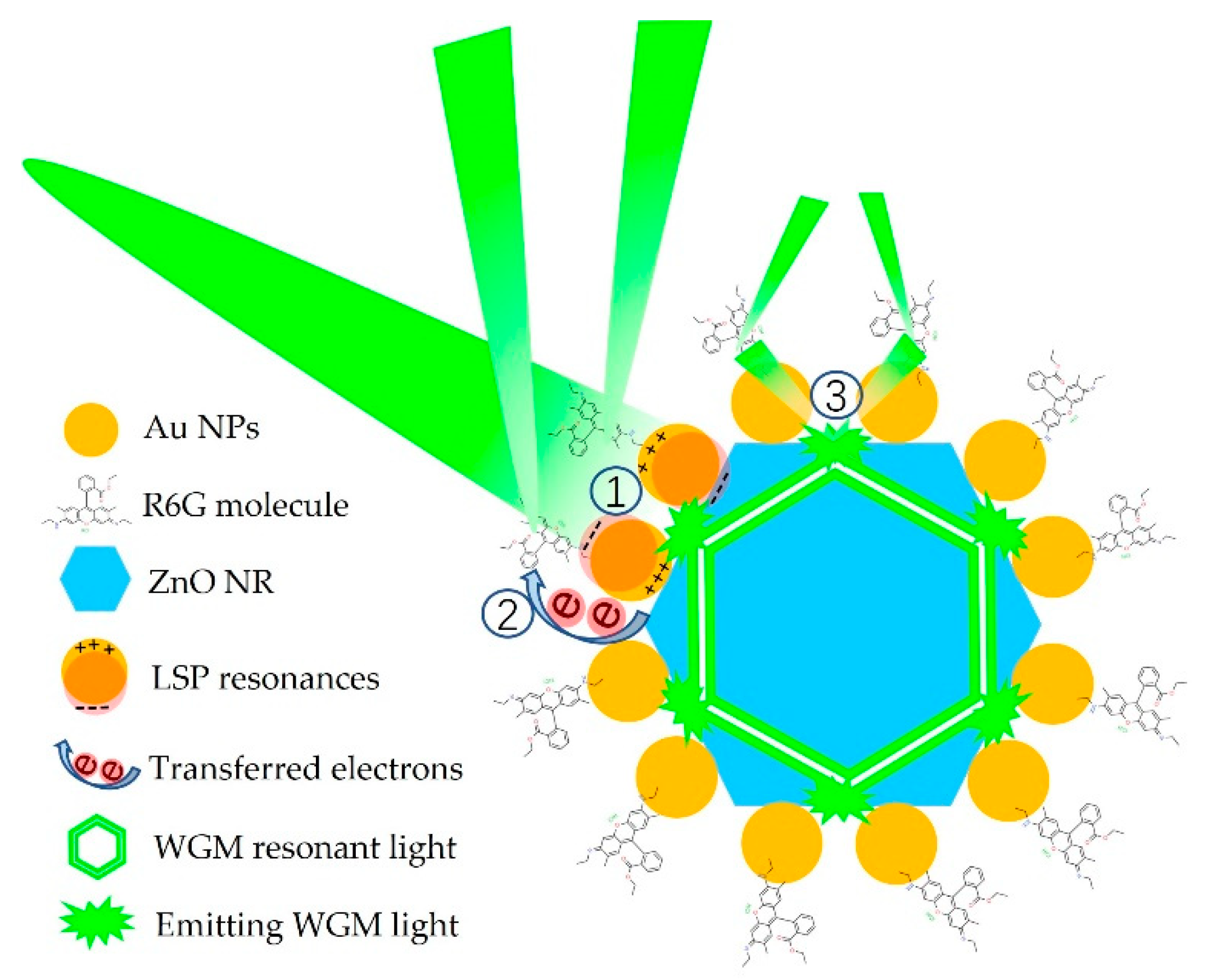 Nanomaterials 12 03785 g009
