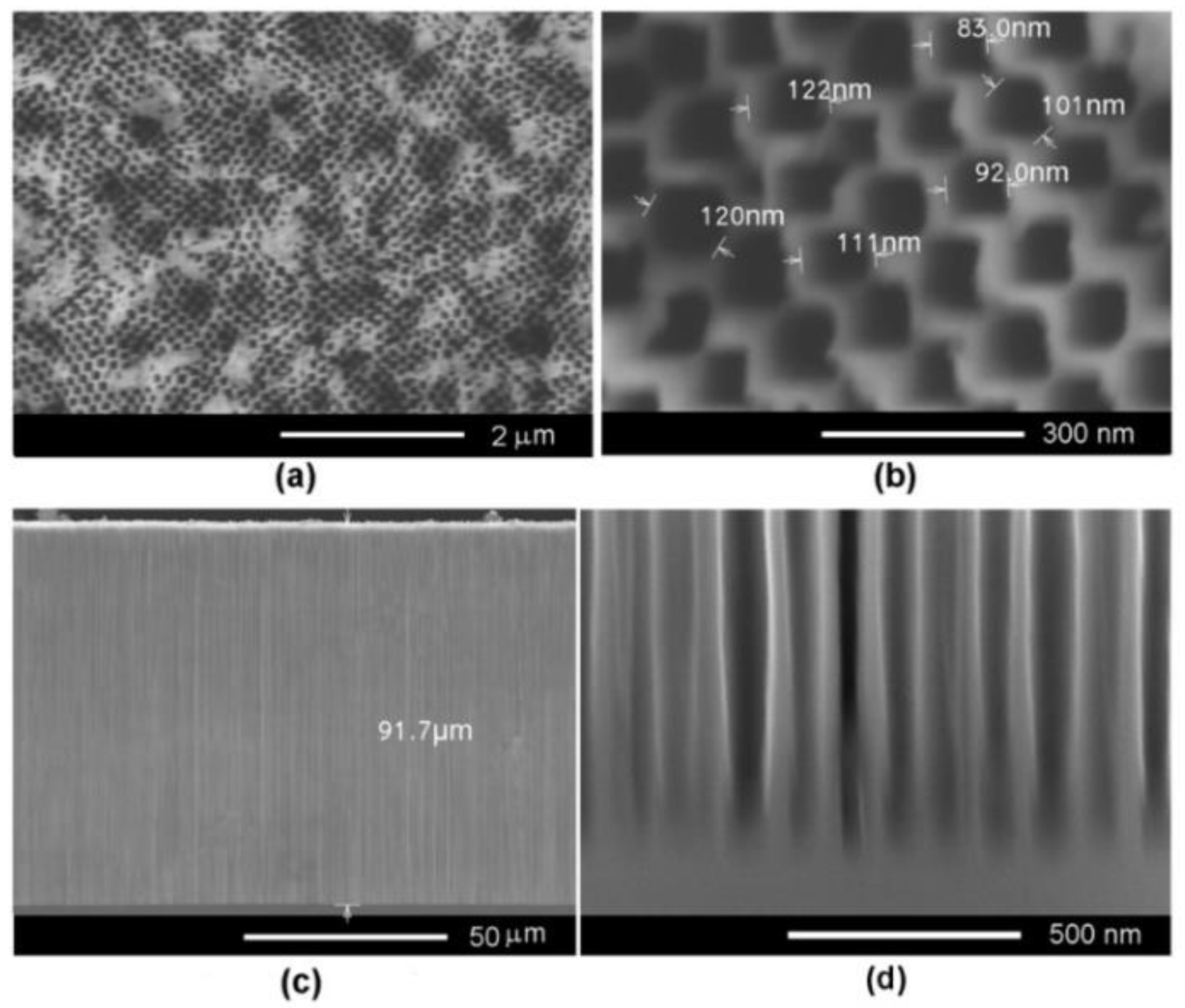 Nanomaterials 12 03787 g002