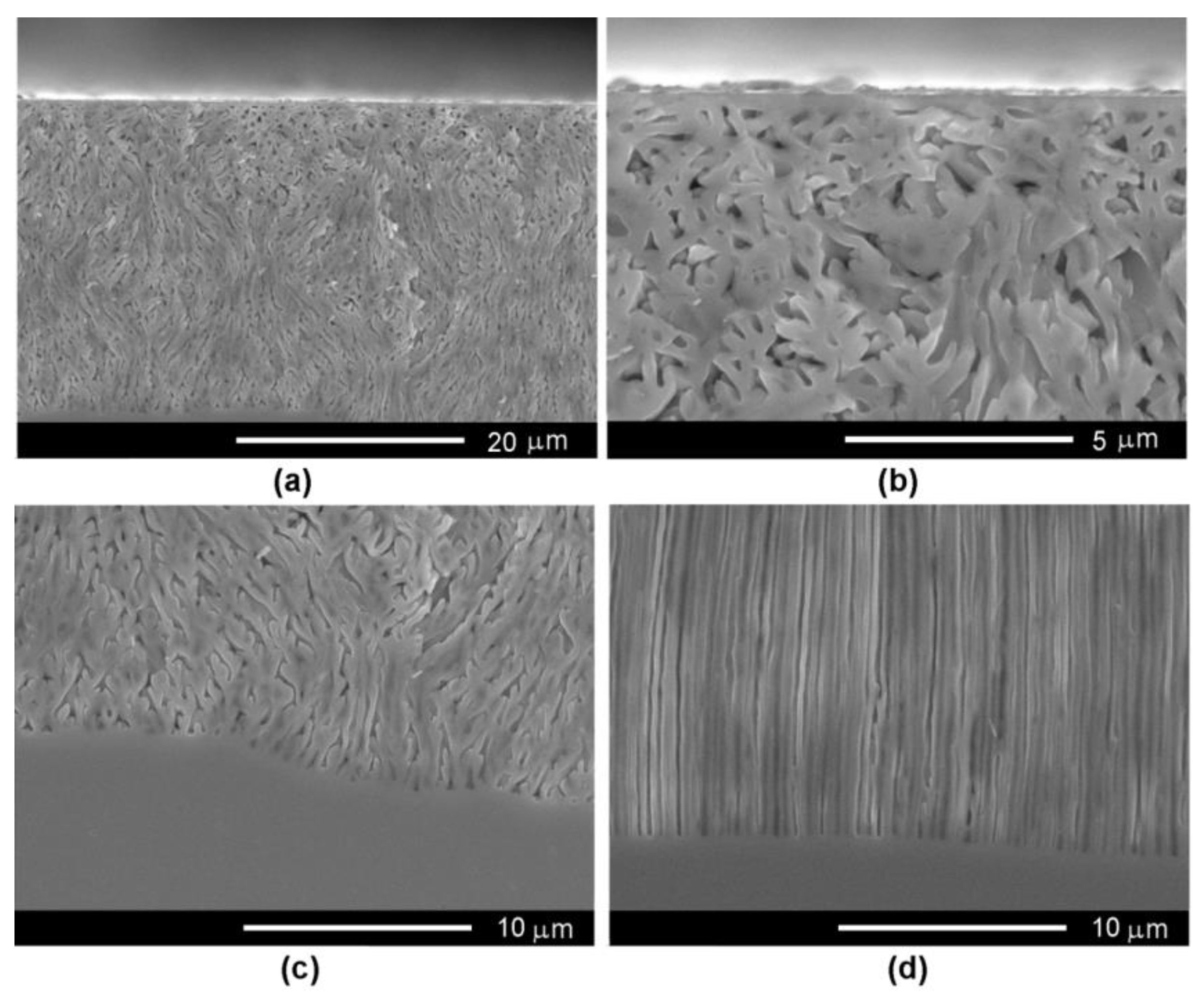 Nanomaterials 12 03787 g004