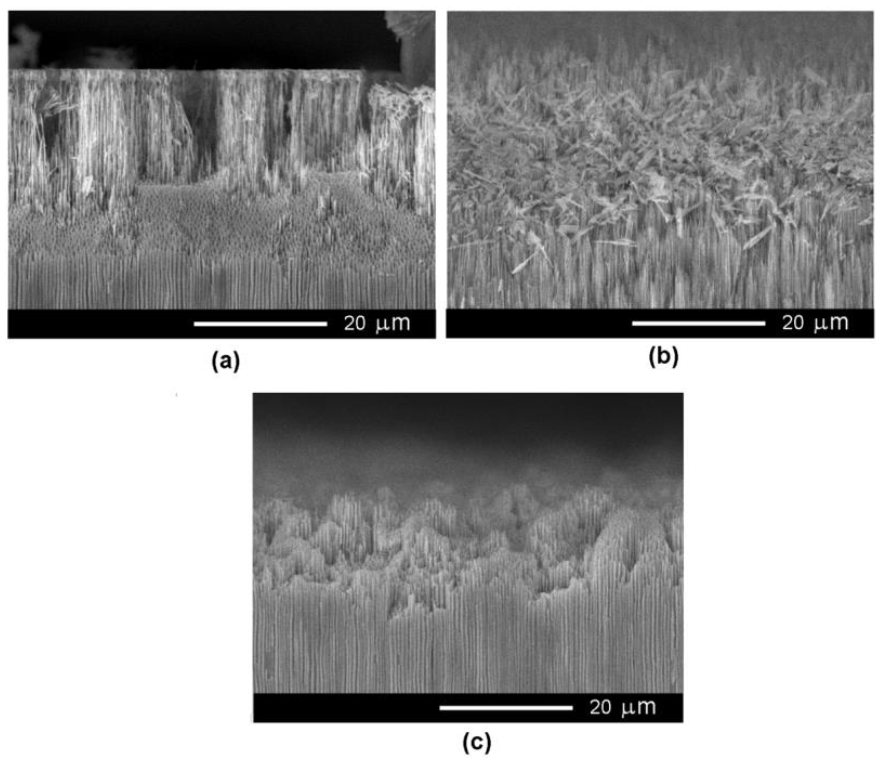 Nanomaterials 12 03787 g006