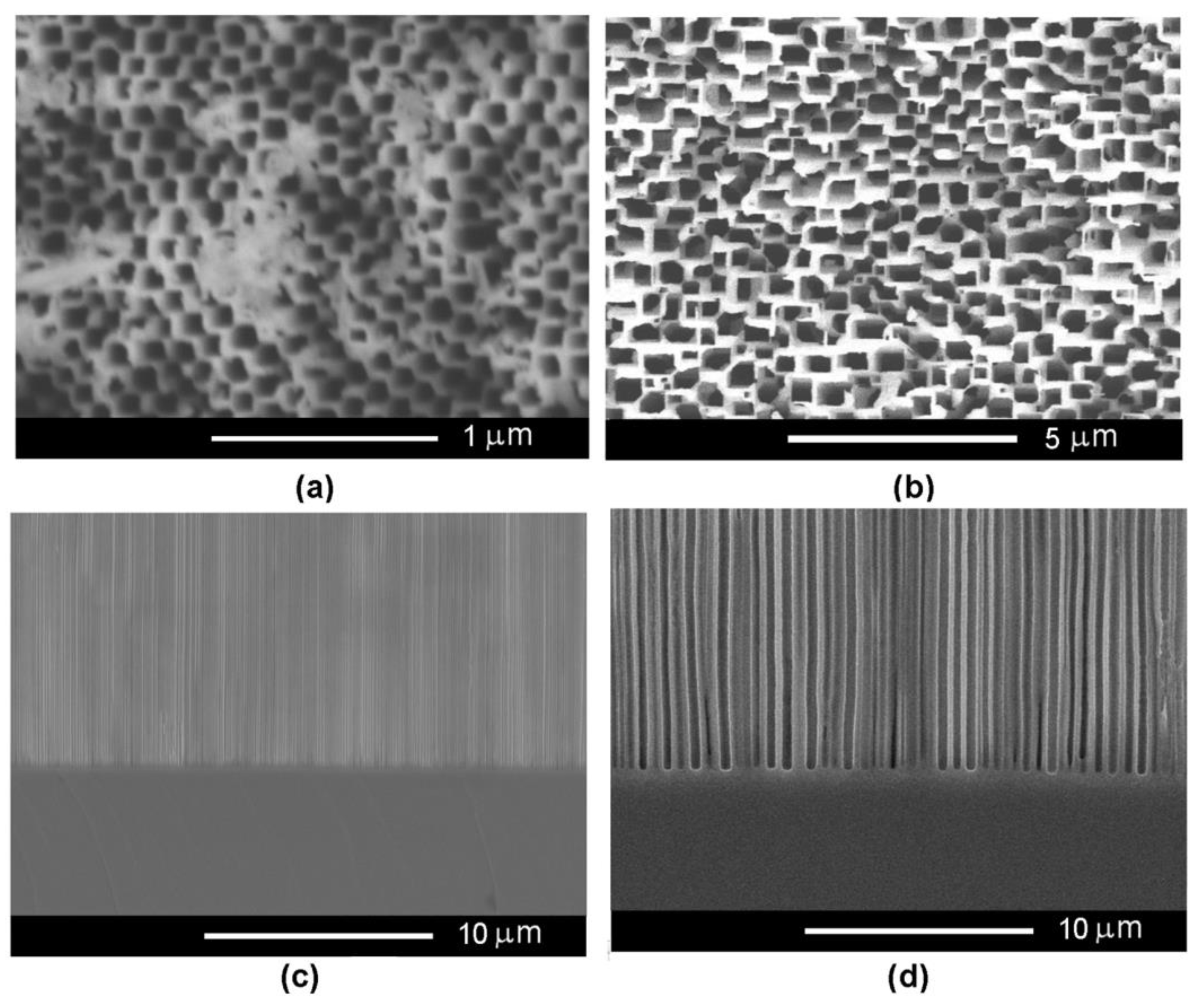 Nanomaterials 12 03787 g007