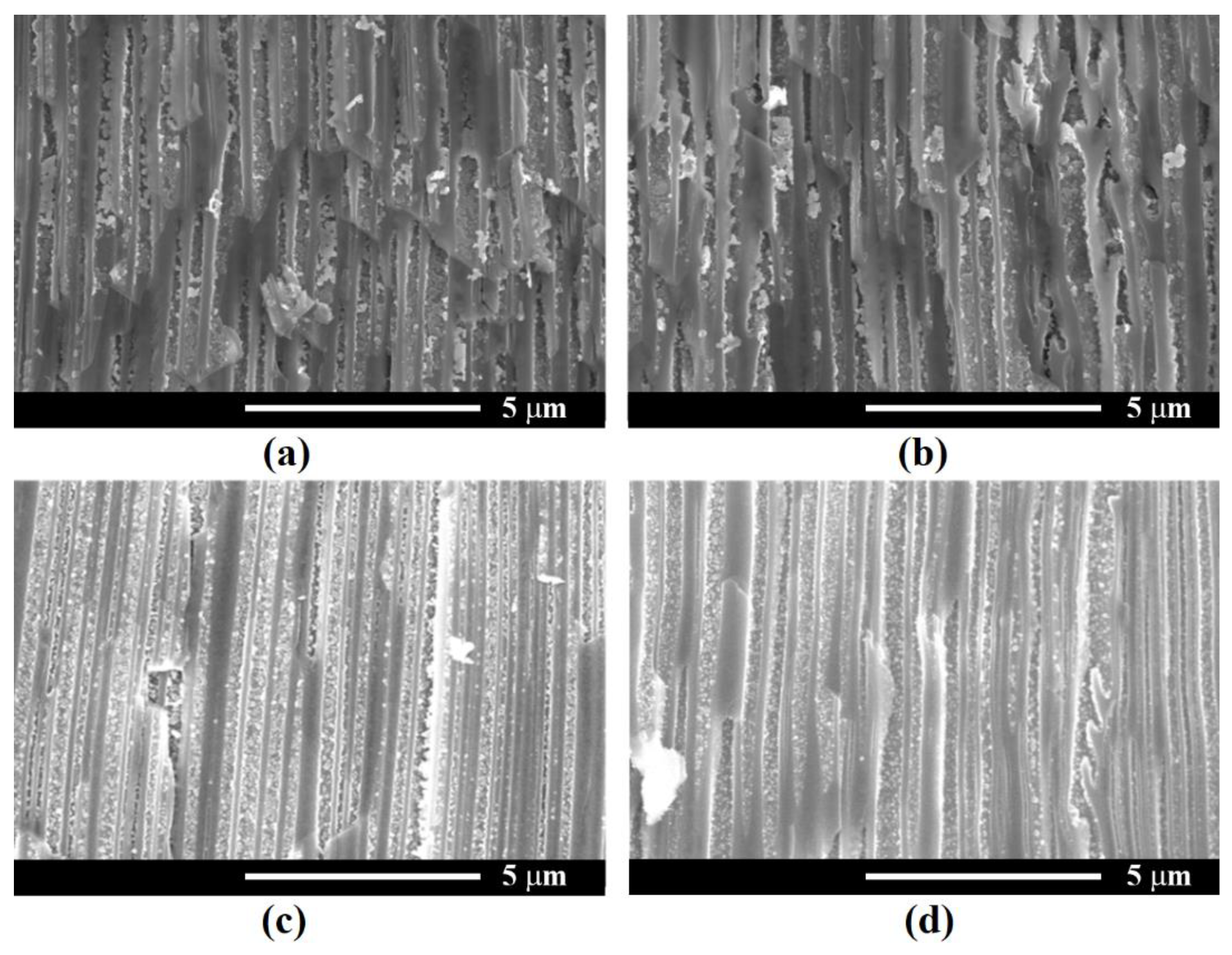Nanomaterials 12 03787 g009