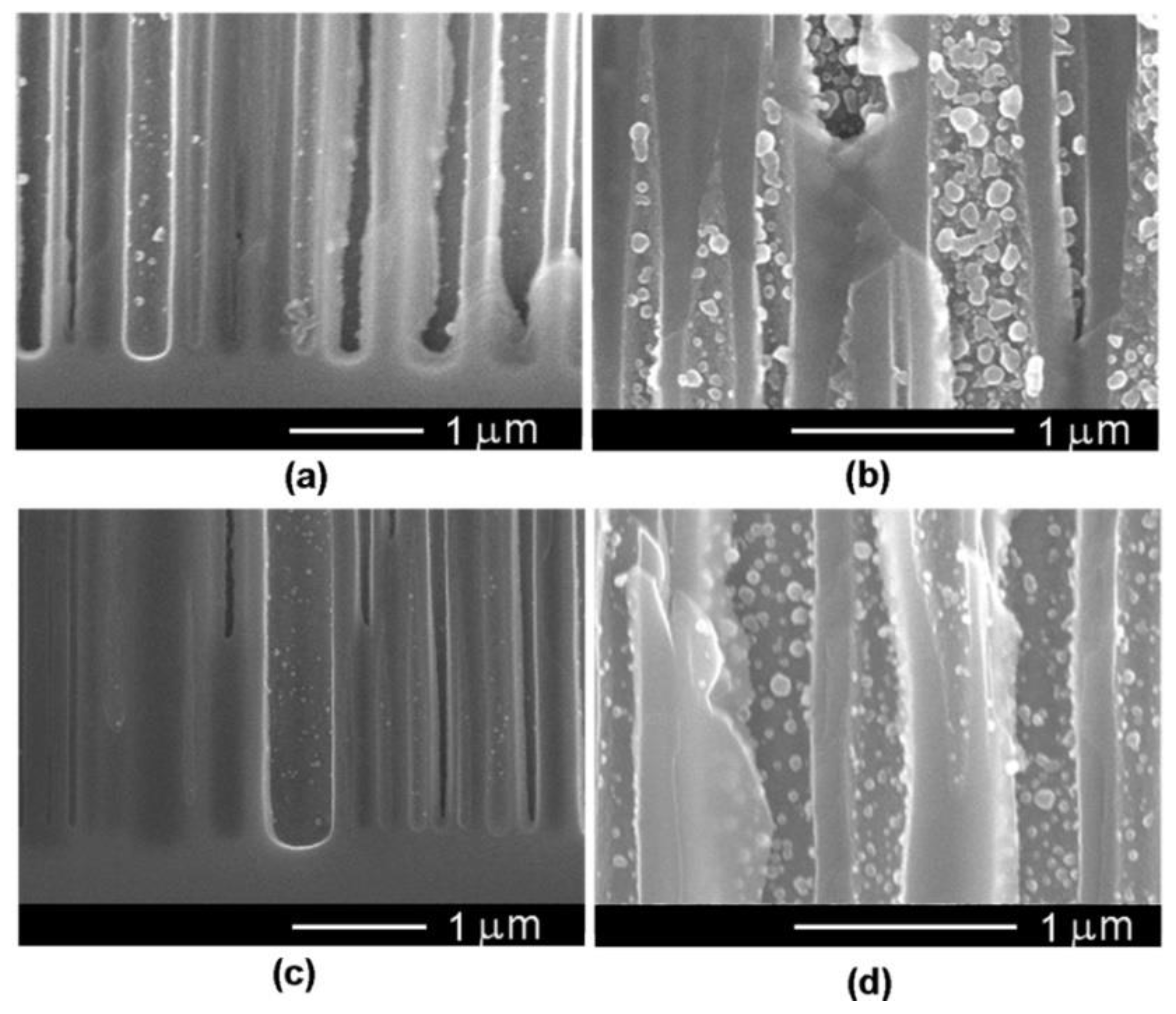 Nanomaterials 12 03787 g010