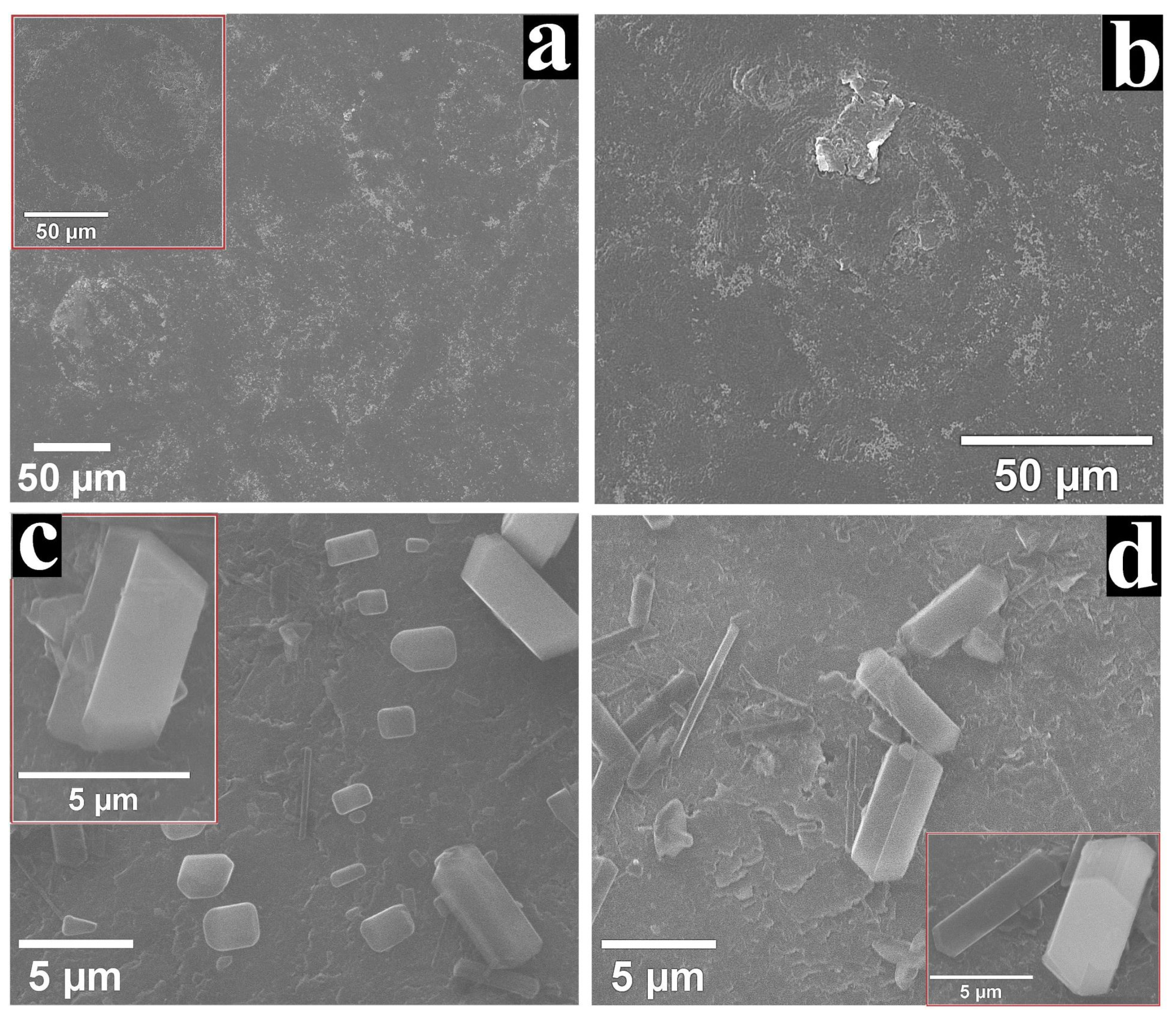 Nanomaterials 12 03788 g008