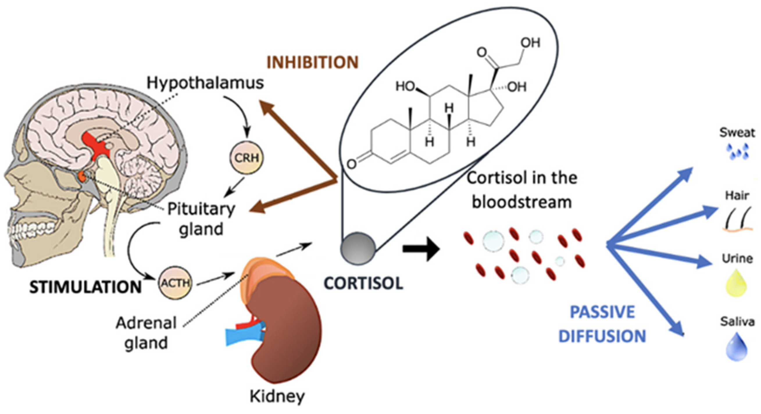Nanomaterials 12 03790 g001