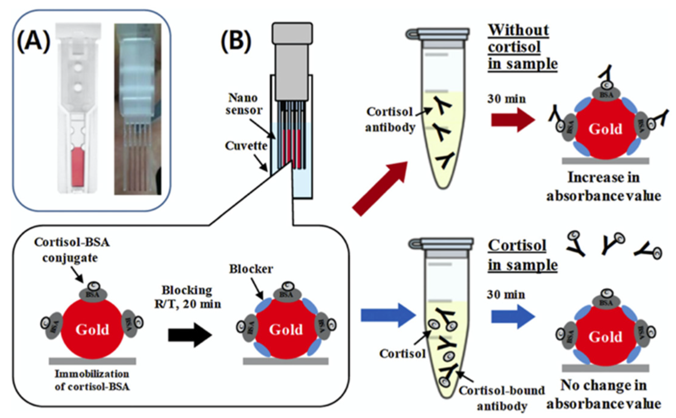 Nanomaterials 12 03790 g002