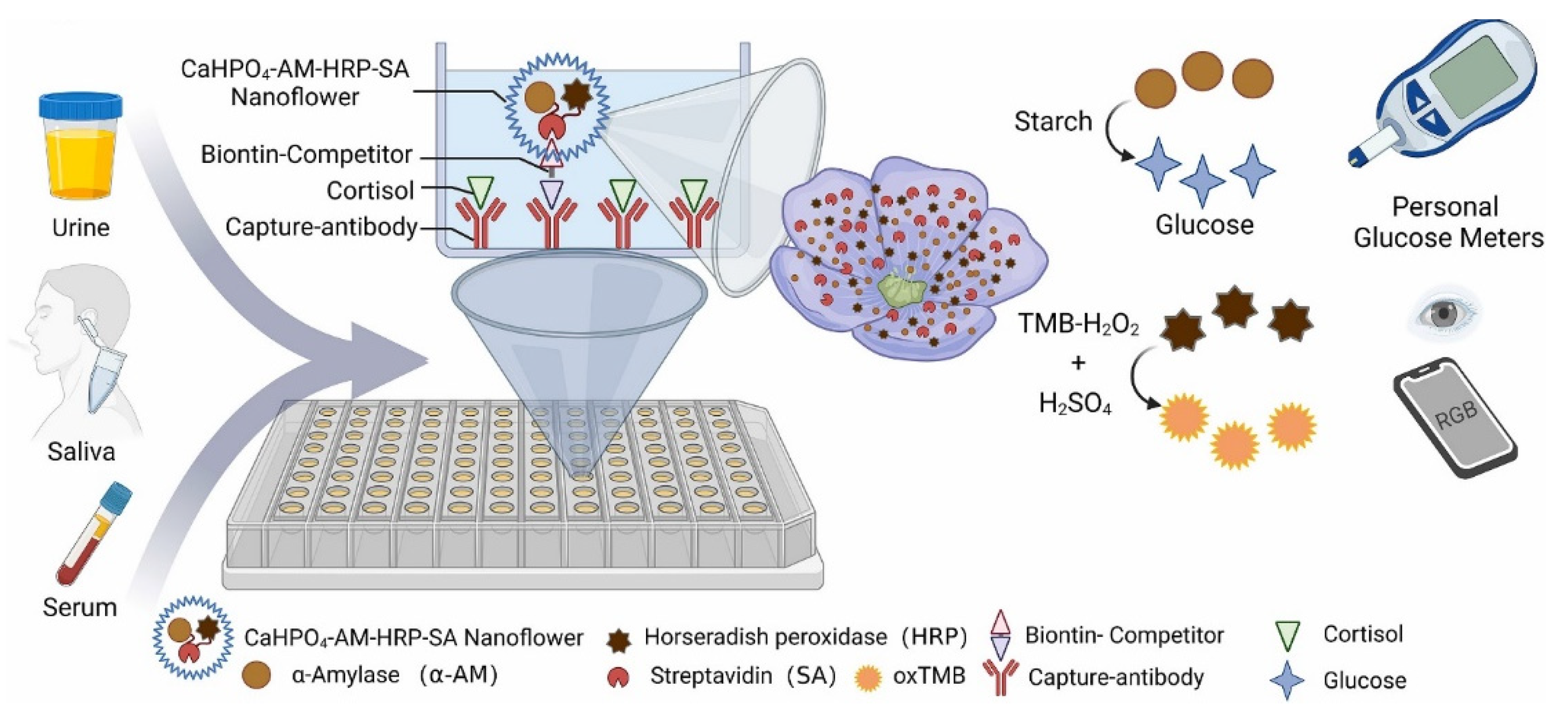 Nanomaterials 12 03790 g006