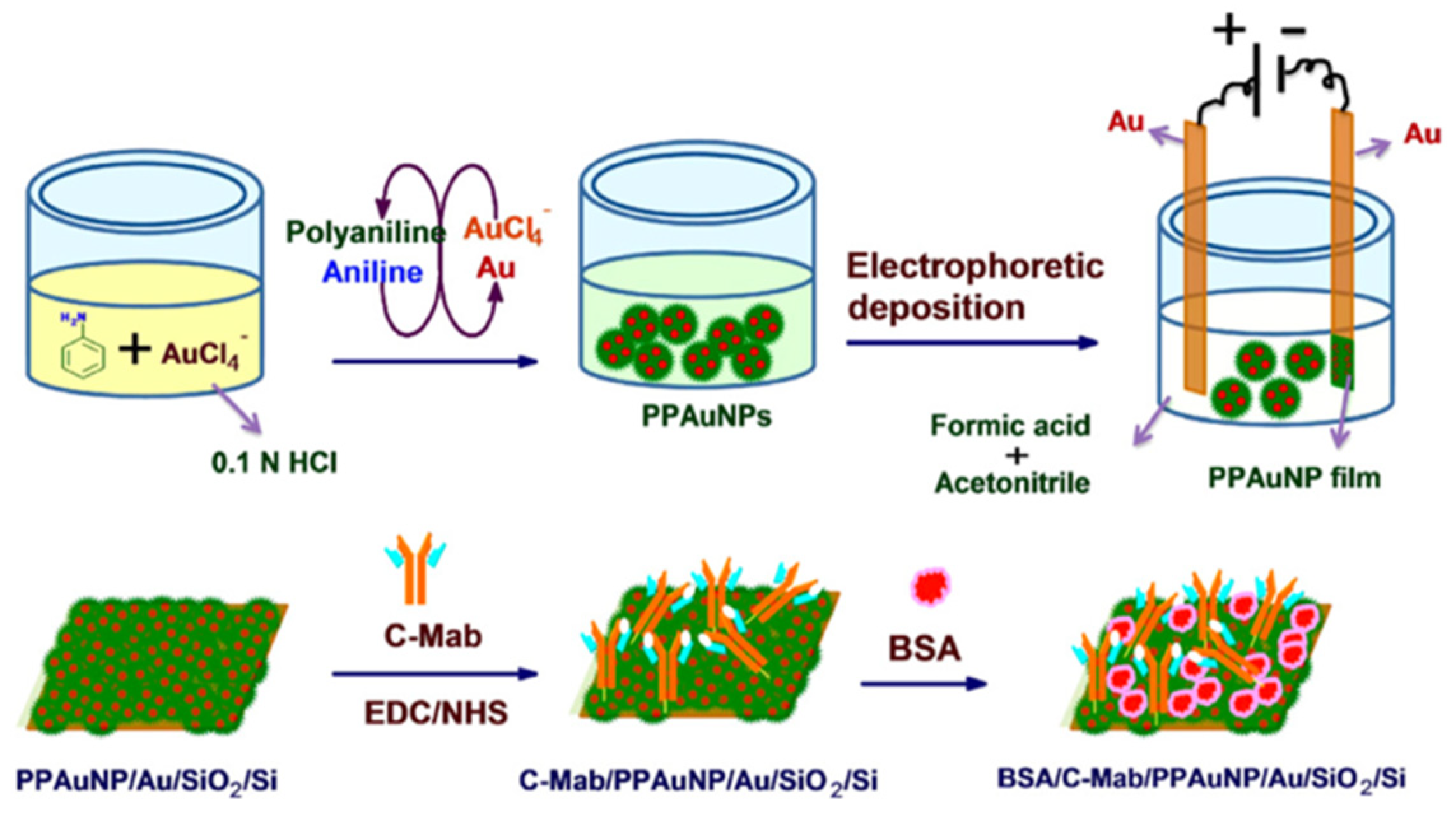 Nanomaterials 12 03790 g007