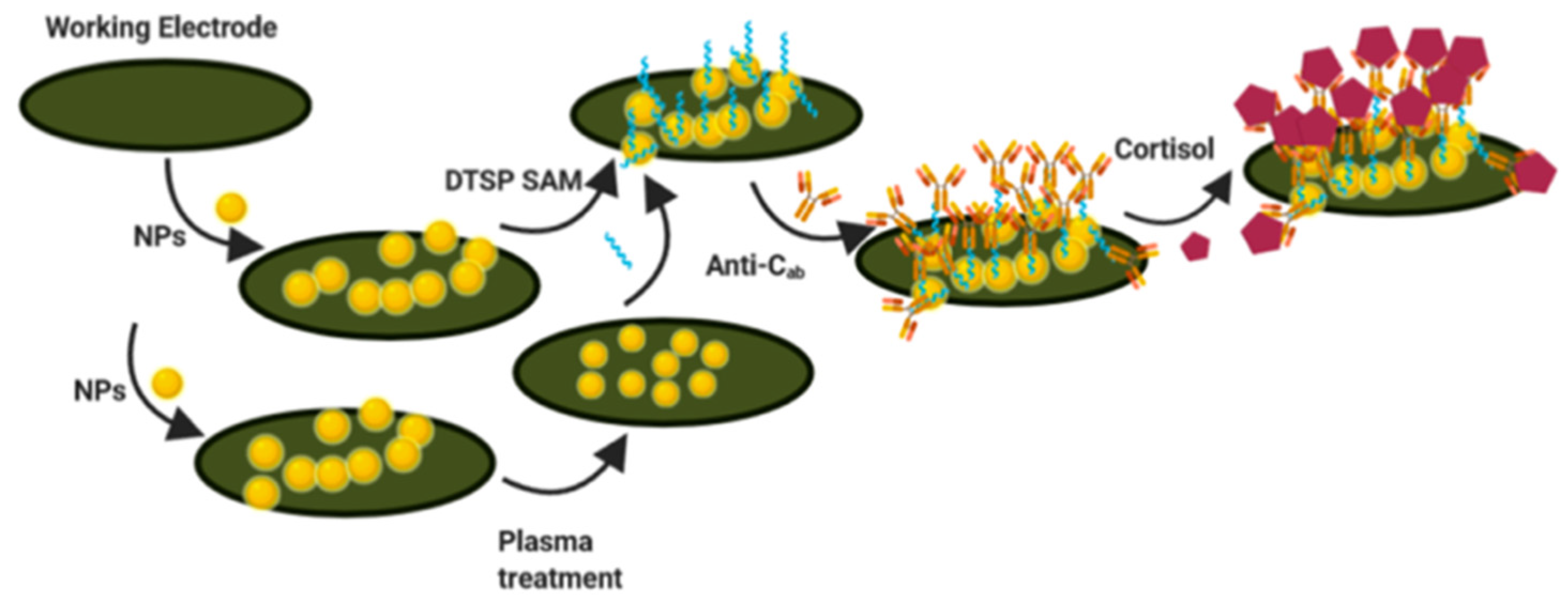 Nanomaterials 12 03790 g015