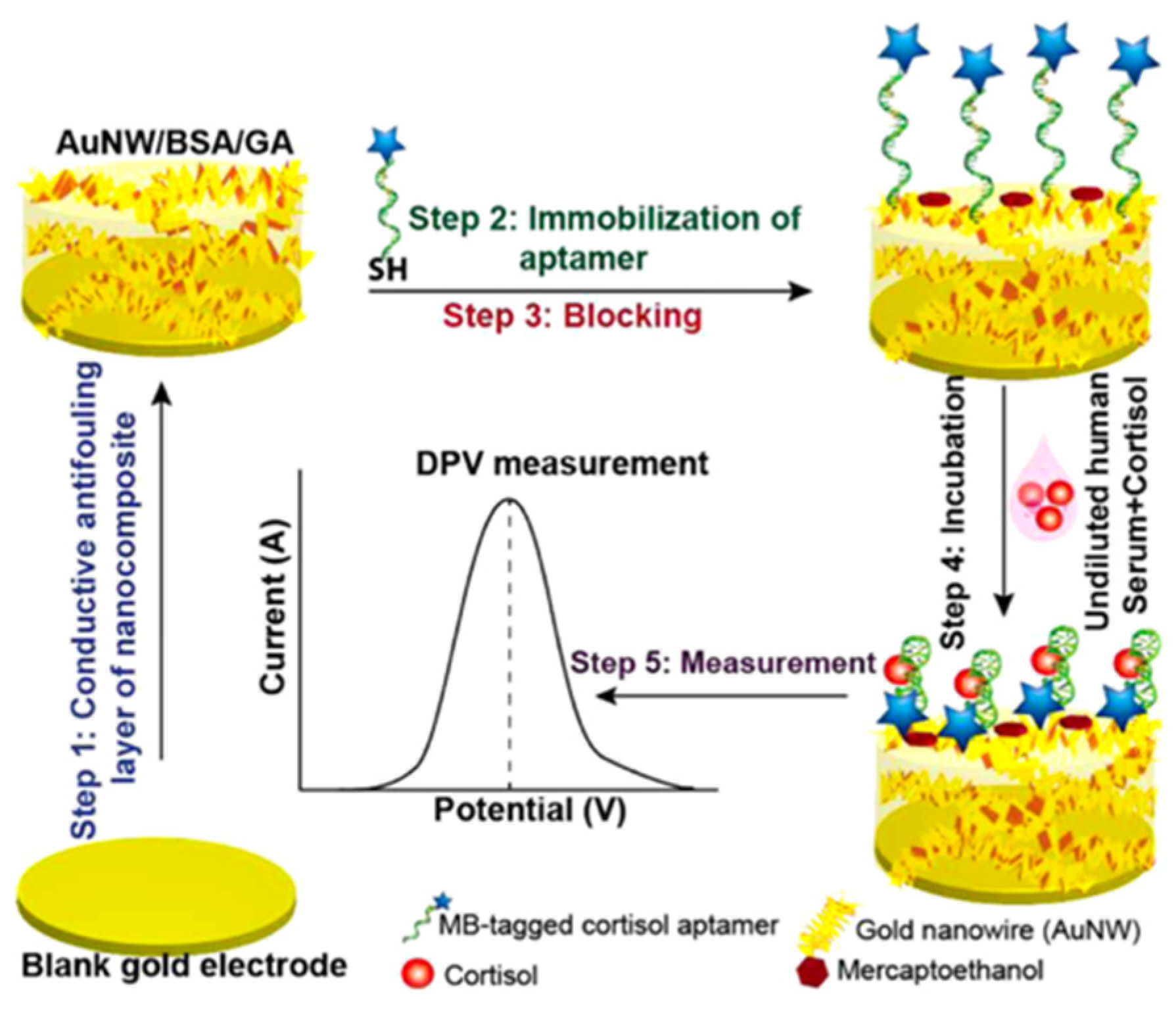 Nanomaterials 12 03790 g016