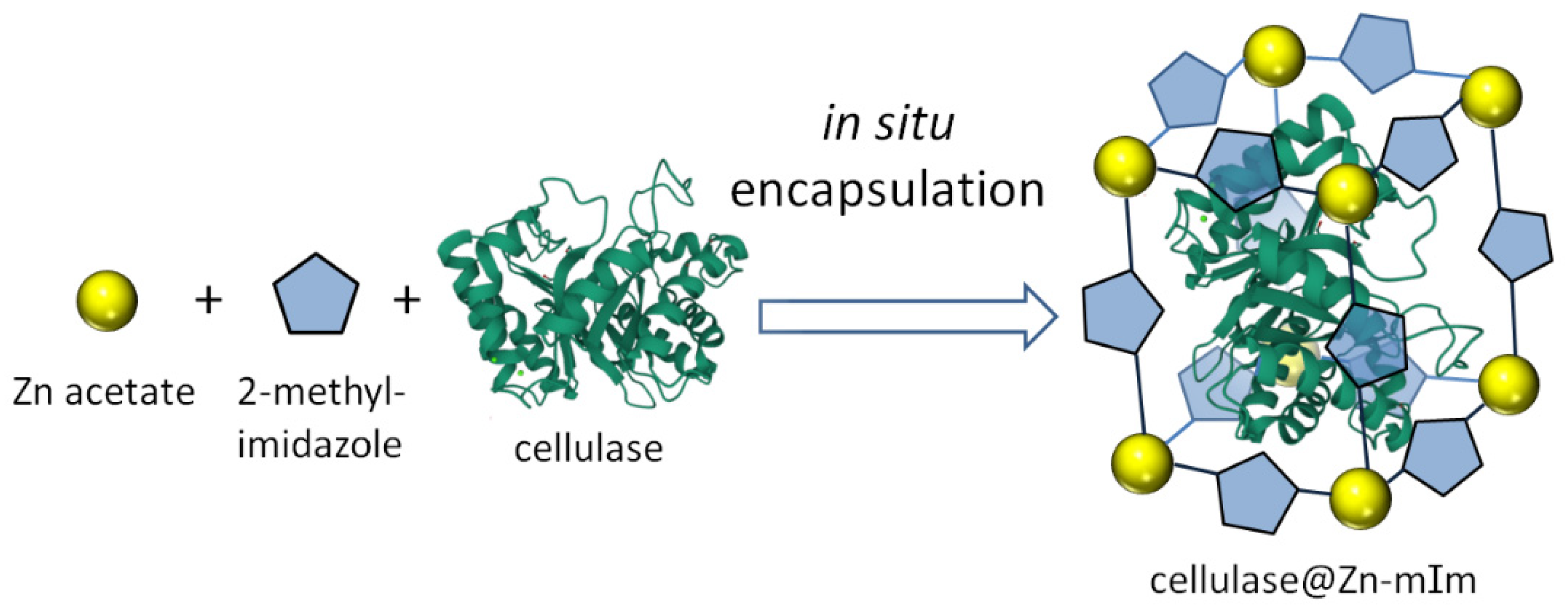 Nanomaterials 12 03796 g002