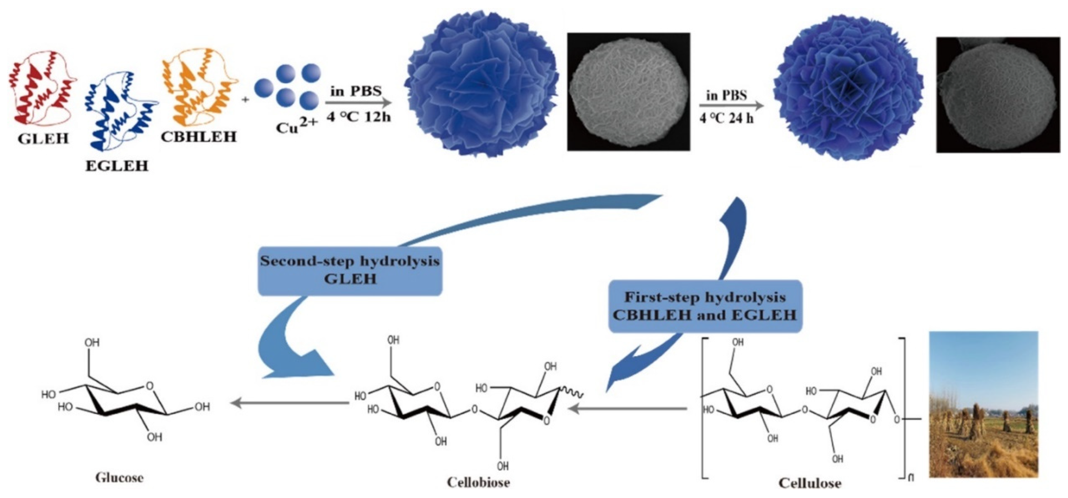 Nanomaterials 12 03796 g004