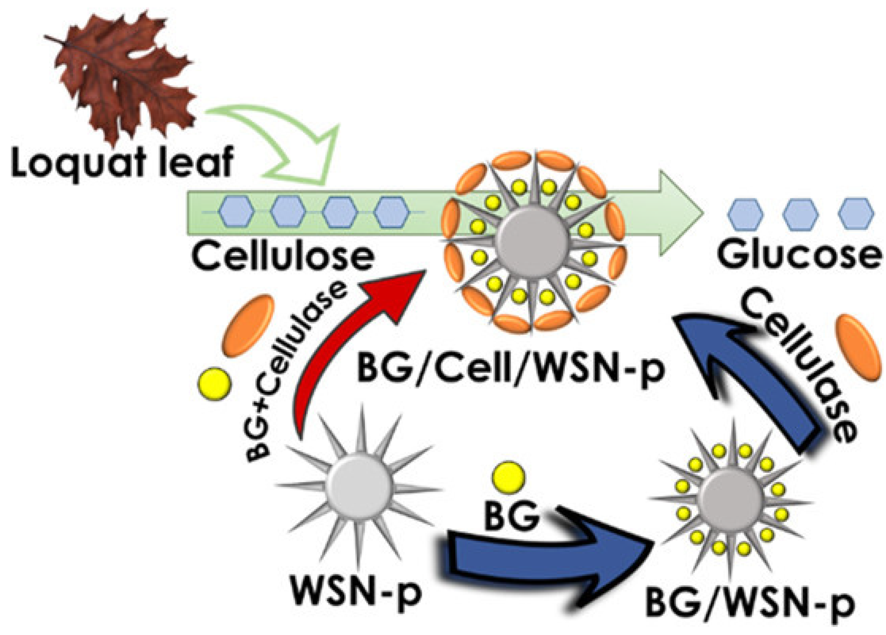 Nanomaterials 12 03796 g005