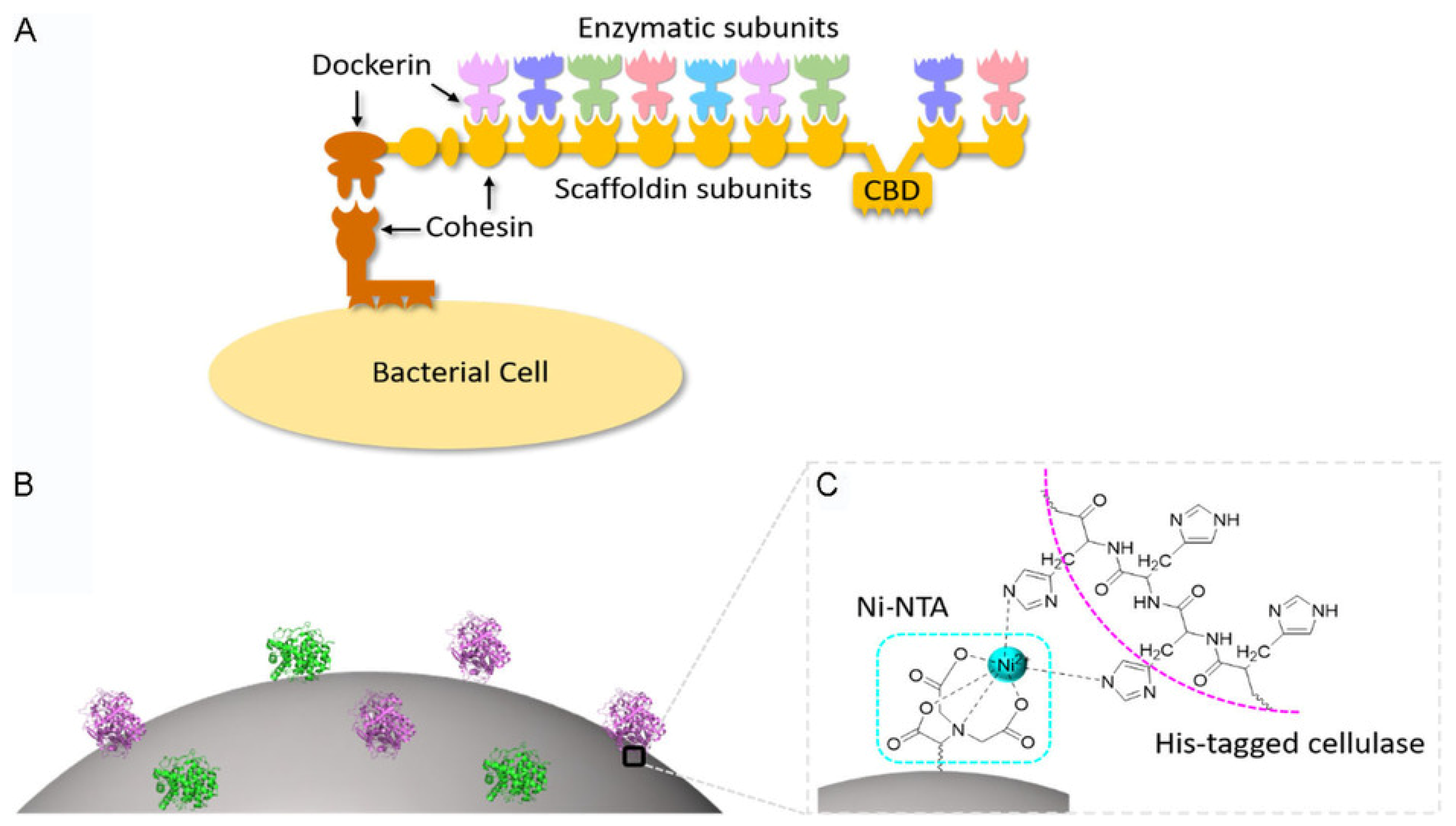 Nanomaterials 12 03796 g006