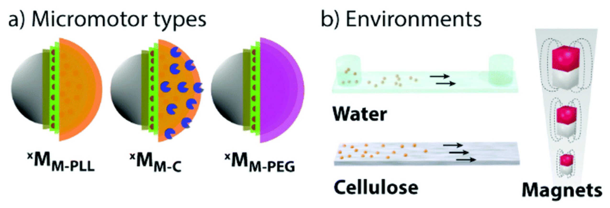 Nanomaterials 12 03796 g007