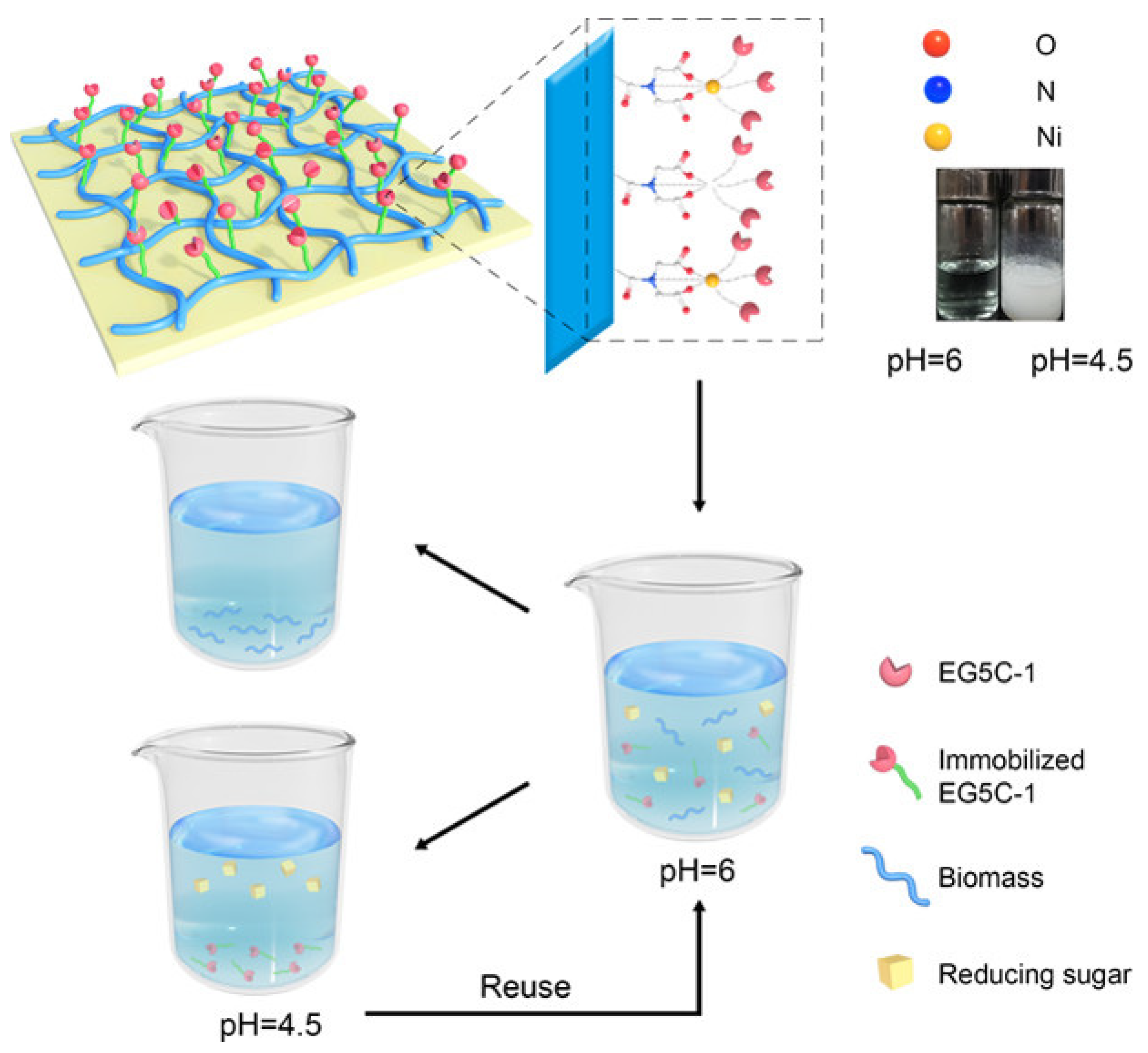Nanomaterials 12 03796 g010