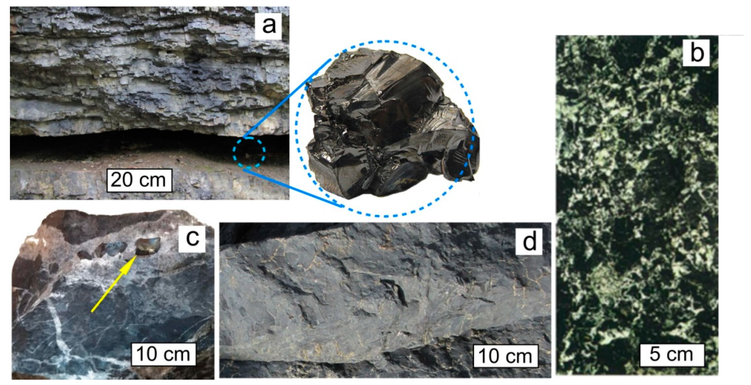 Nanomaterials 12 03797 g002