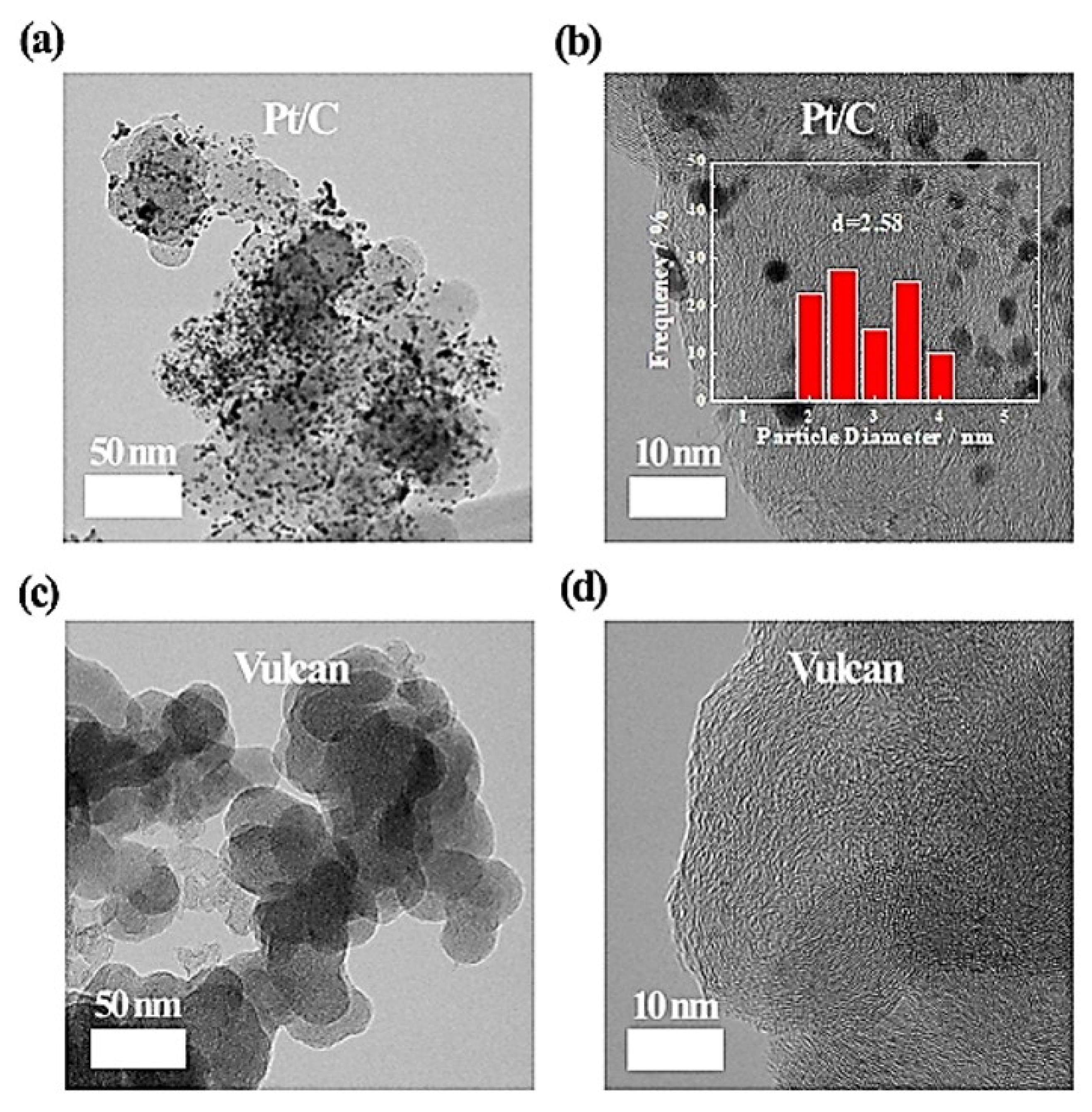 Nanomaterials 12 03800 g001