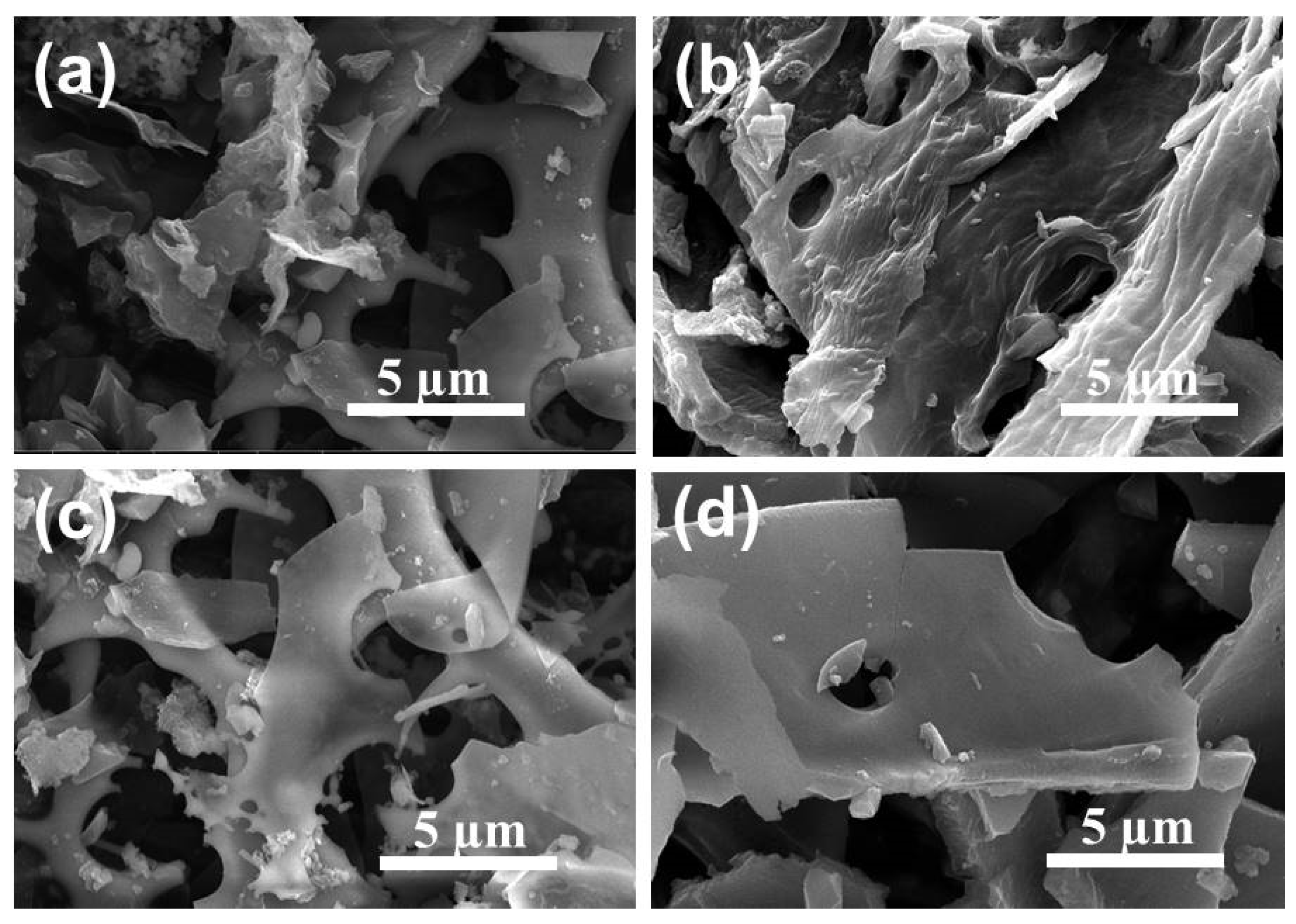 Nanomaterials 12 03804 g003