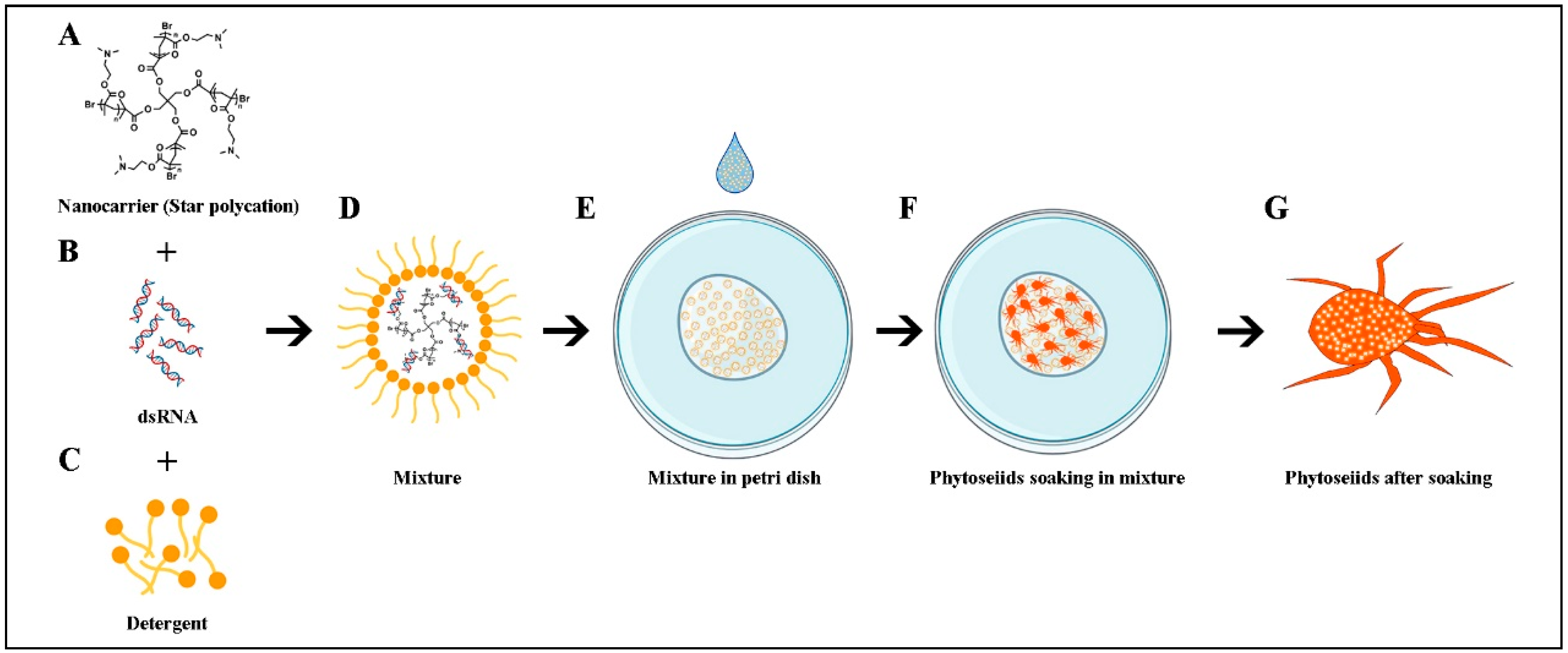 Nanomaterials 12 03809 g001 Nanomaterials 12 03809 g001