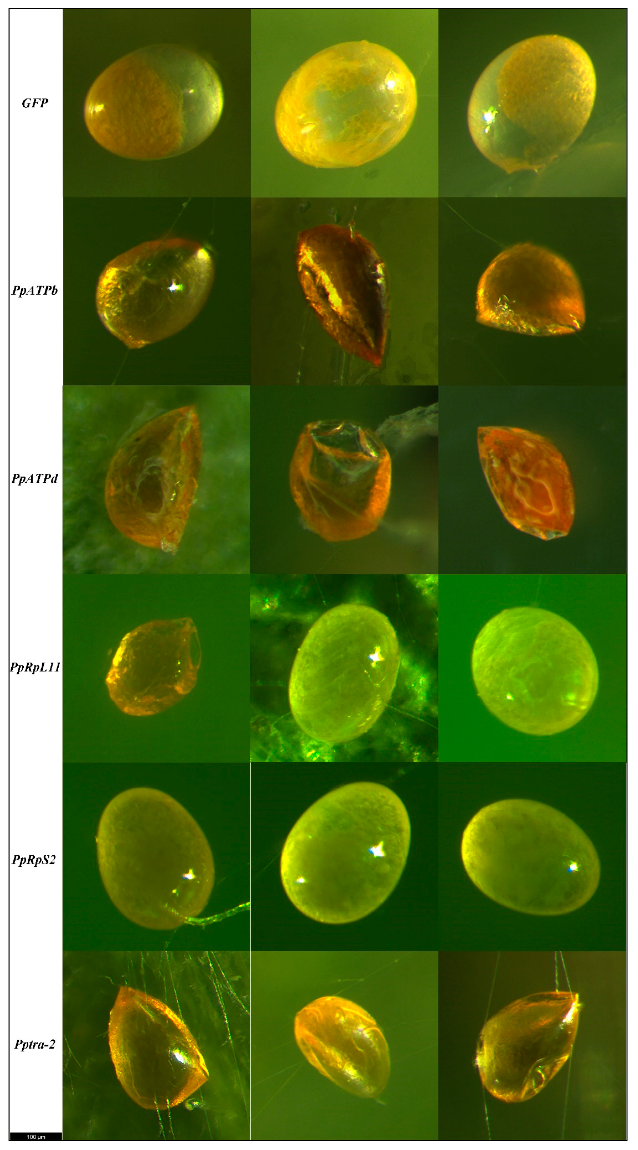 Nanomaterials 12 03809 g005 Nanomaterials 12 03809 g005