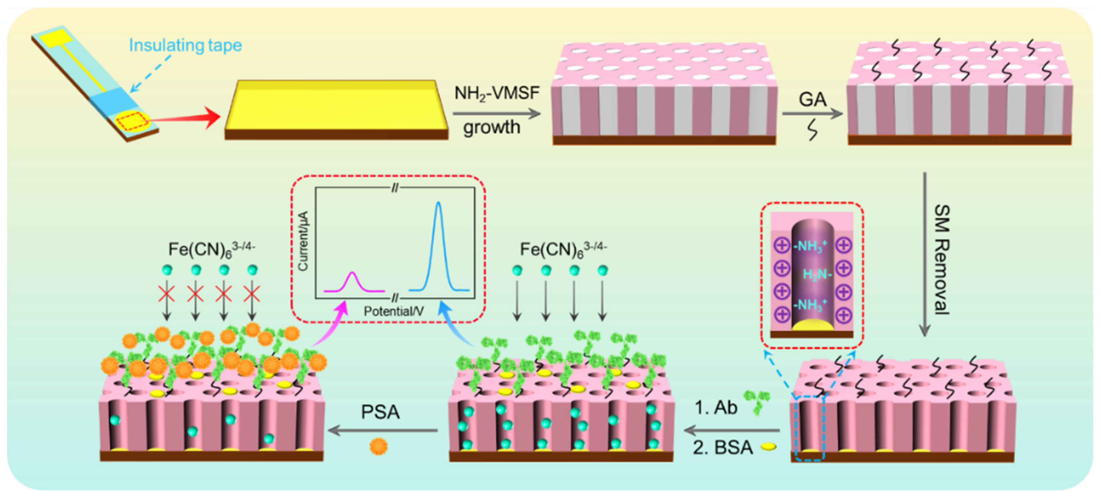 Nanomaterials 12 03810 g001