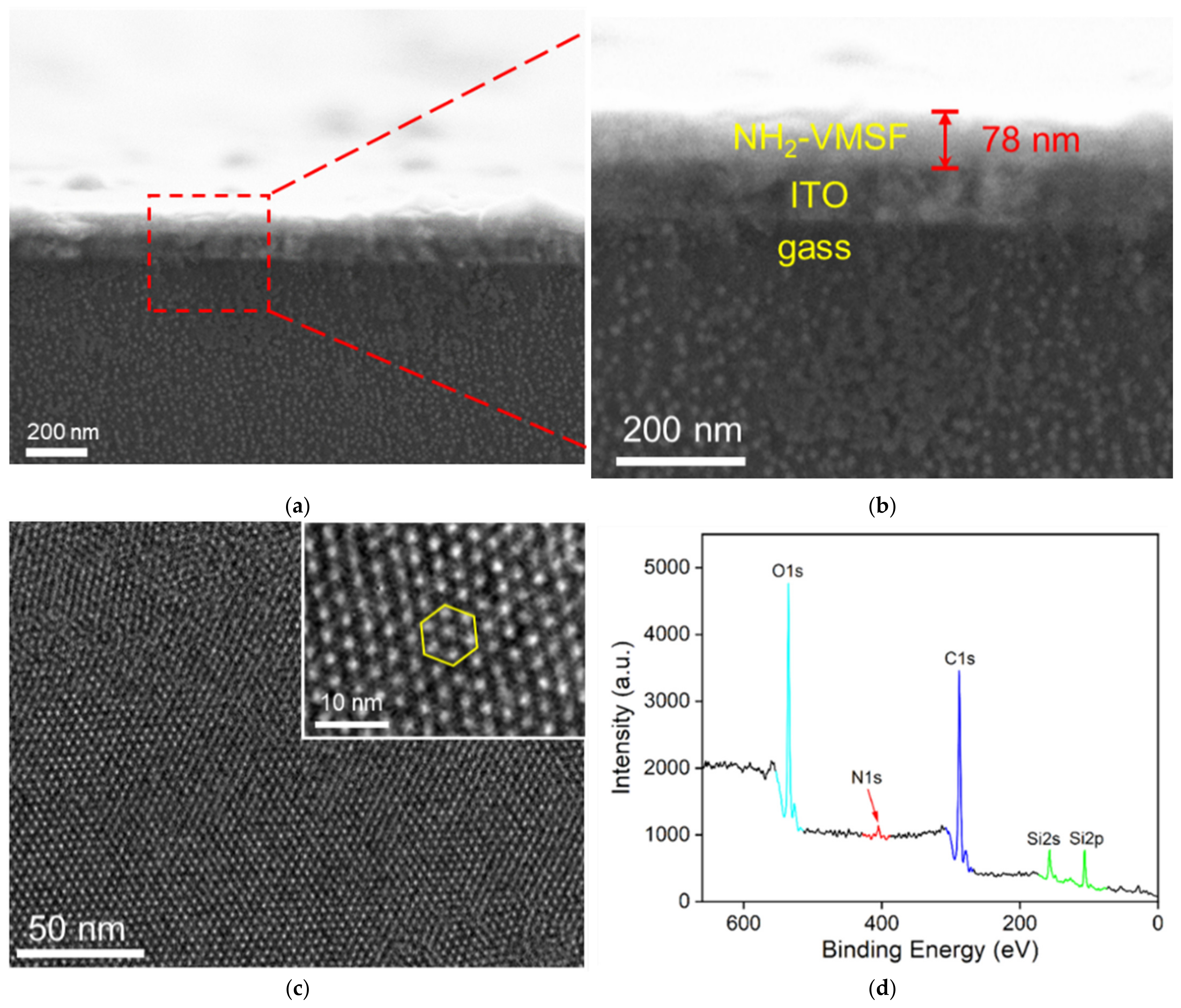 Nanomaterials 12 03810 g002