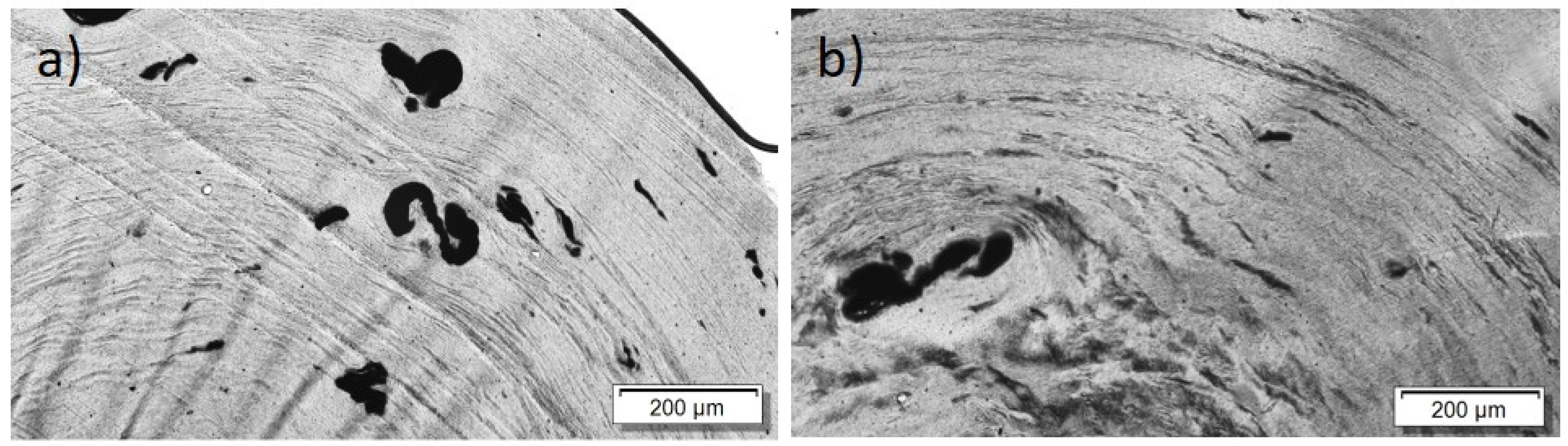 Nanomaterials 12 03812 g010 Nanomaterials 12 03812 g010