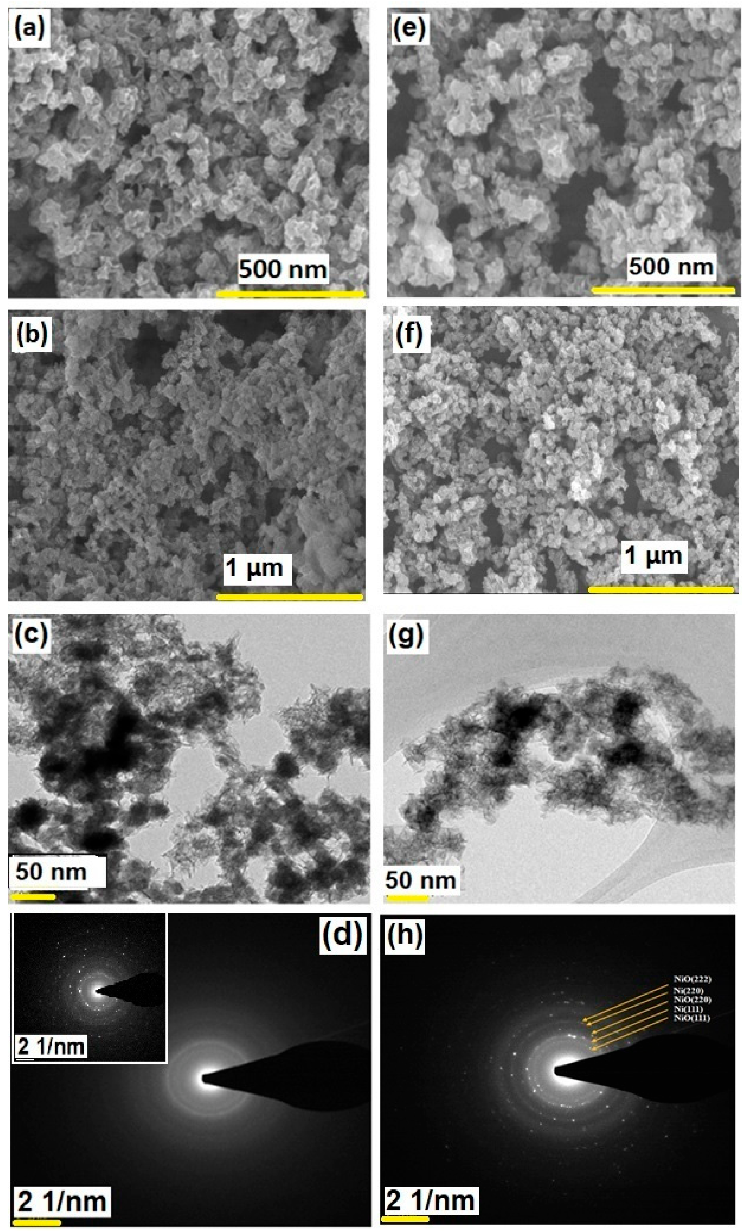 Nanomaterials 12 03813 g001