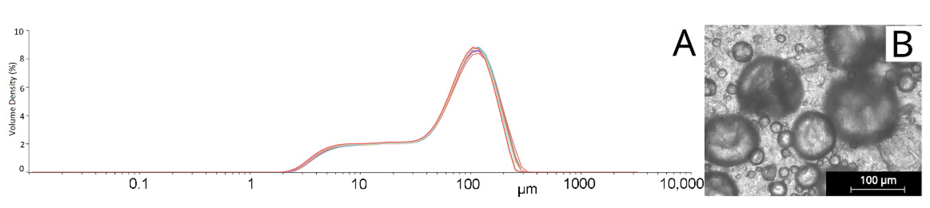 Nanomaterials 12 03824 g002