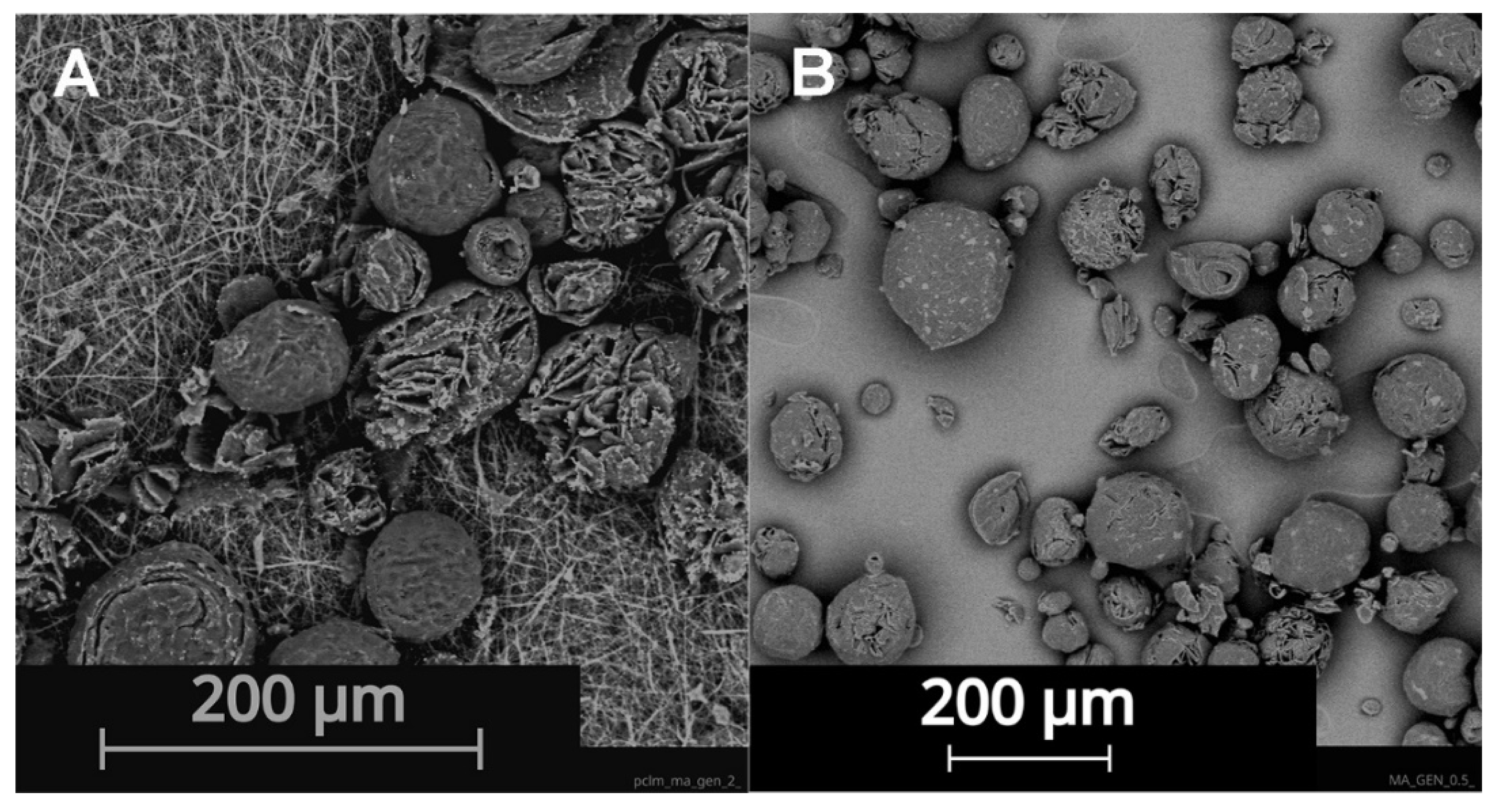 Nanomaterials 12 03824 g003