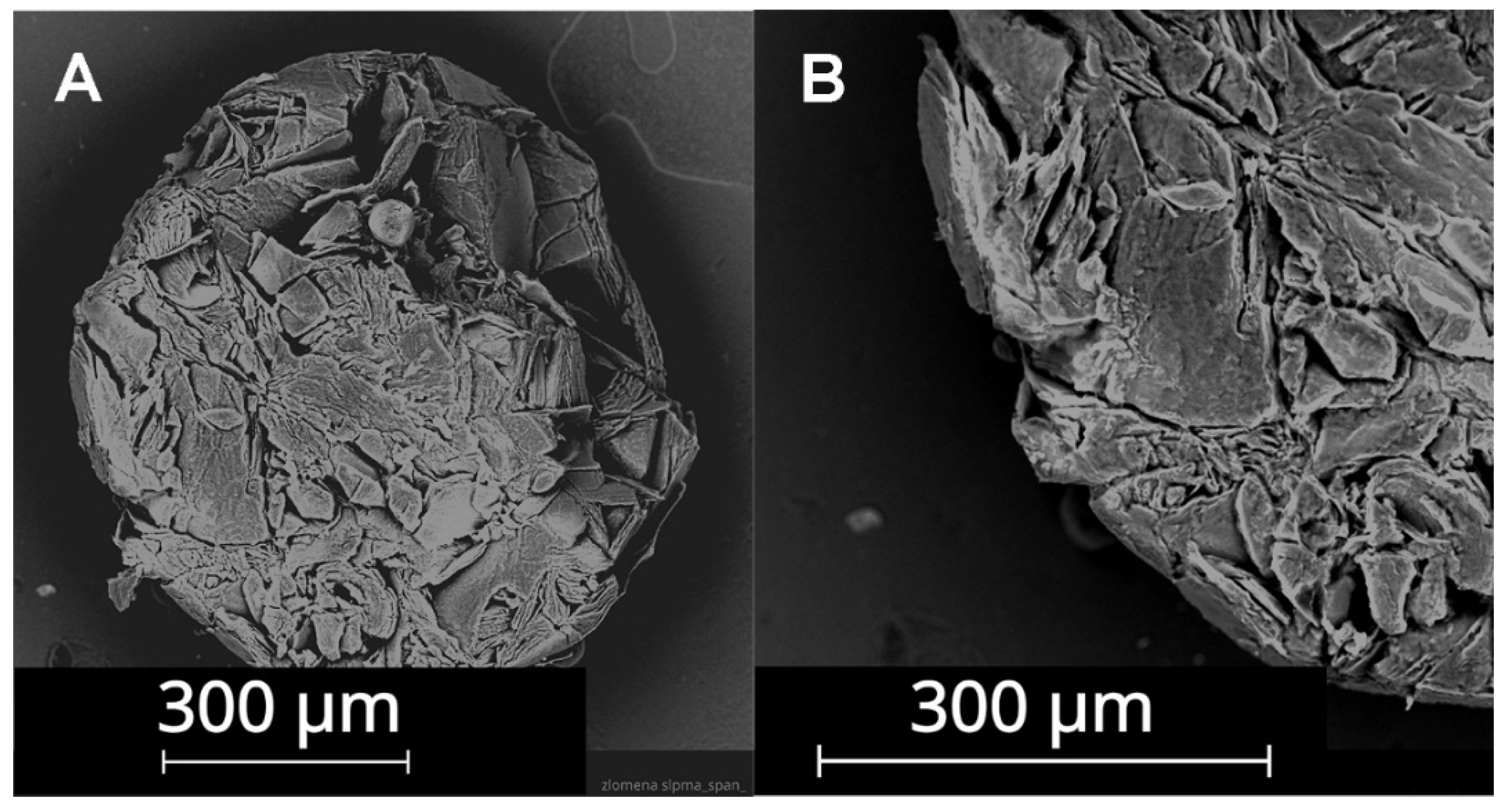 Nanomaterials 12 03824 g004