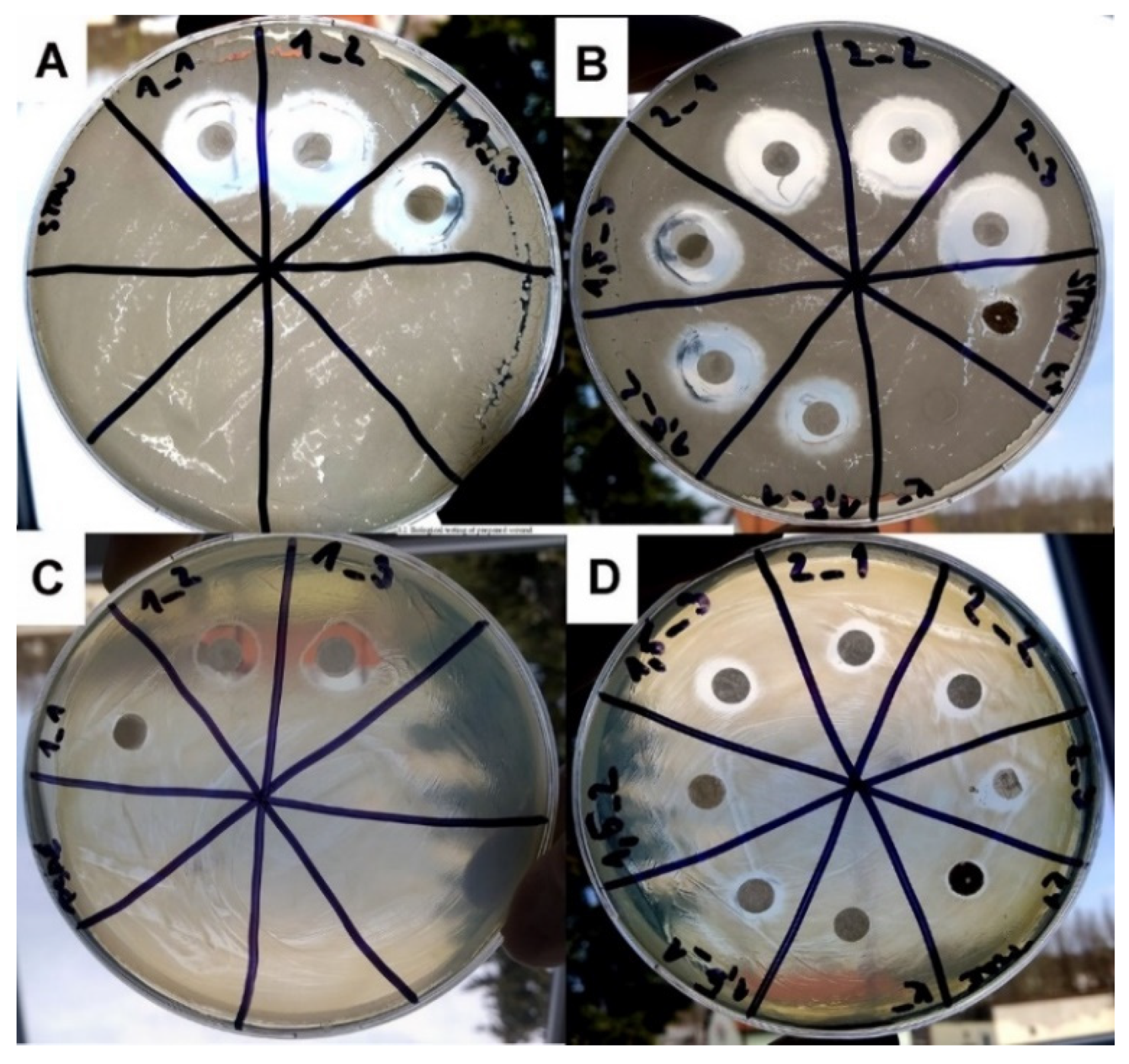 Nanomaterials 12 03824 g005