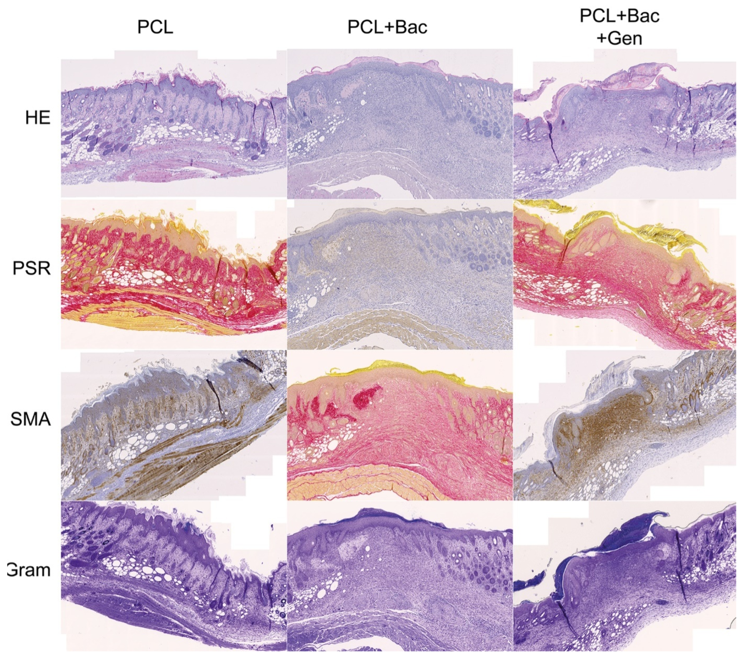 Nanomaterials 12 03824 g014
